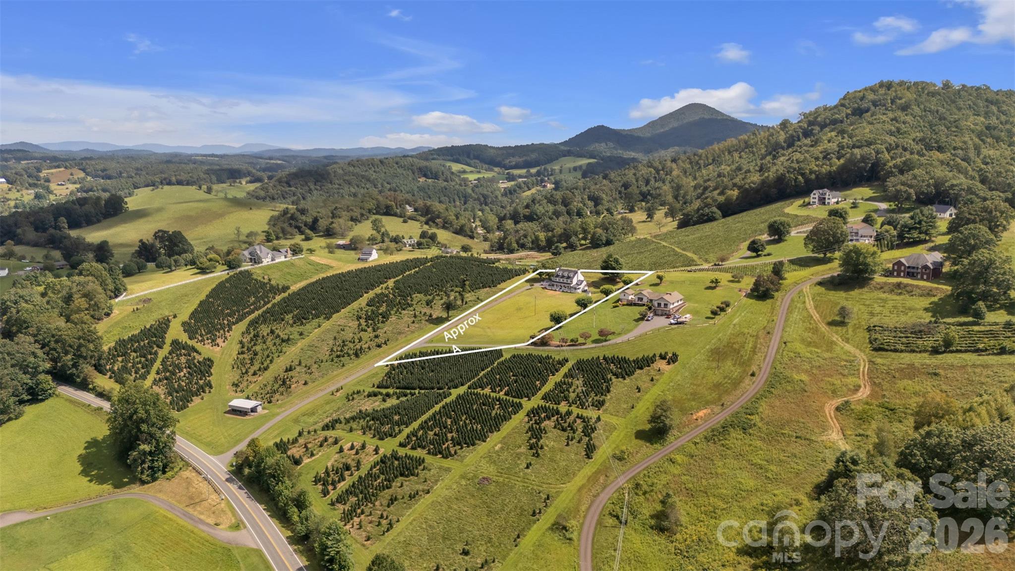 230 Nc 88 Highway Property Photo 6