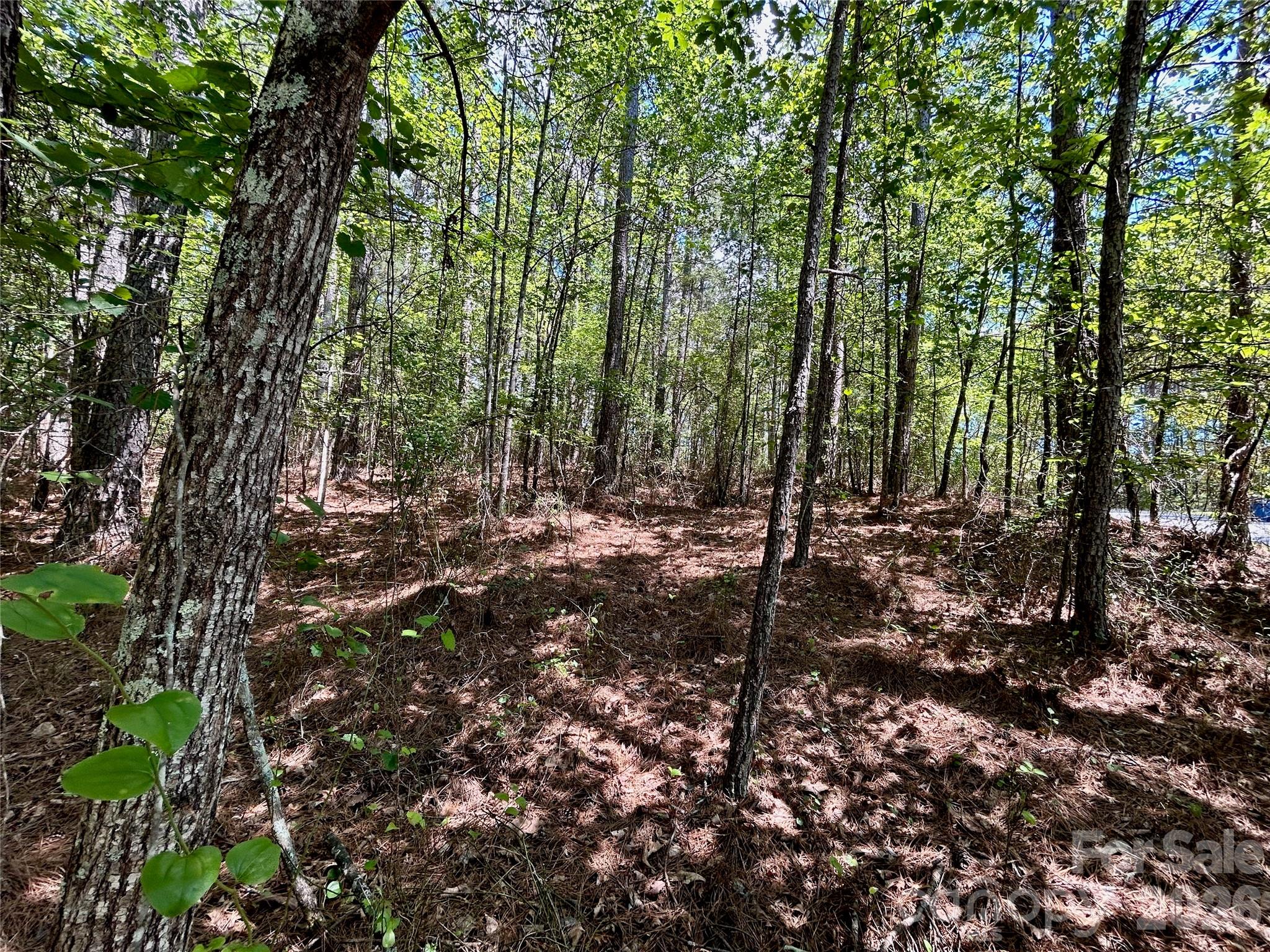 1074 W Hidden Cove Lane Property Photo 2