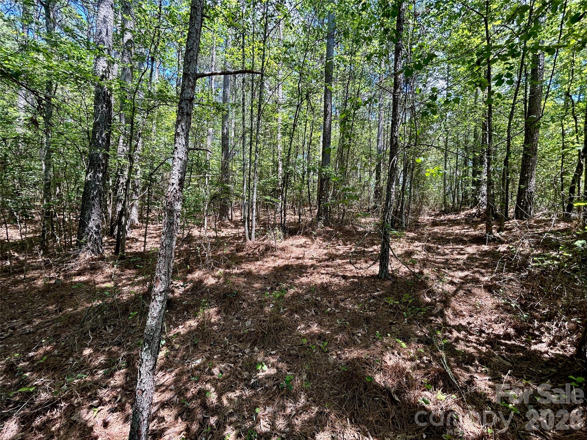 1074 W Hidden Cove Lane Property Photo 3
