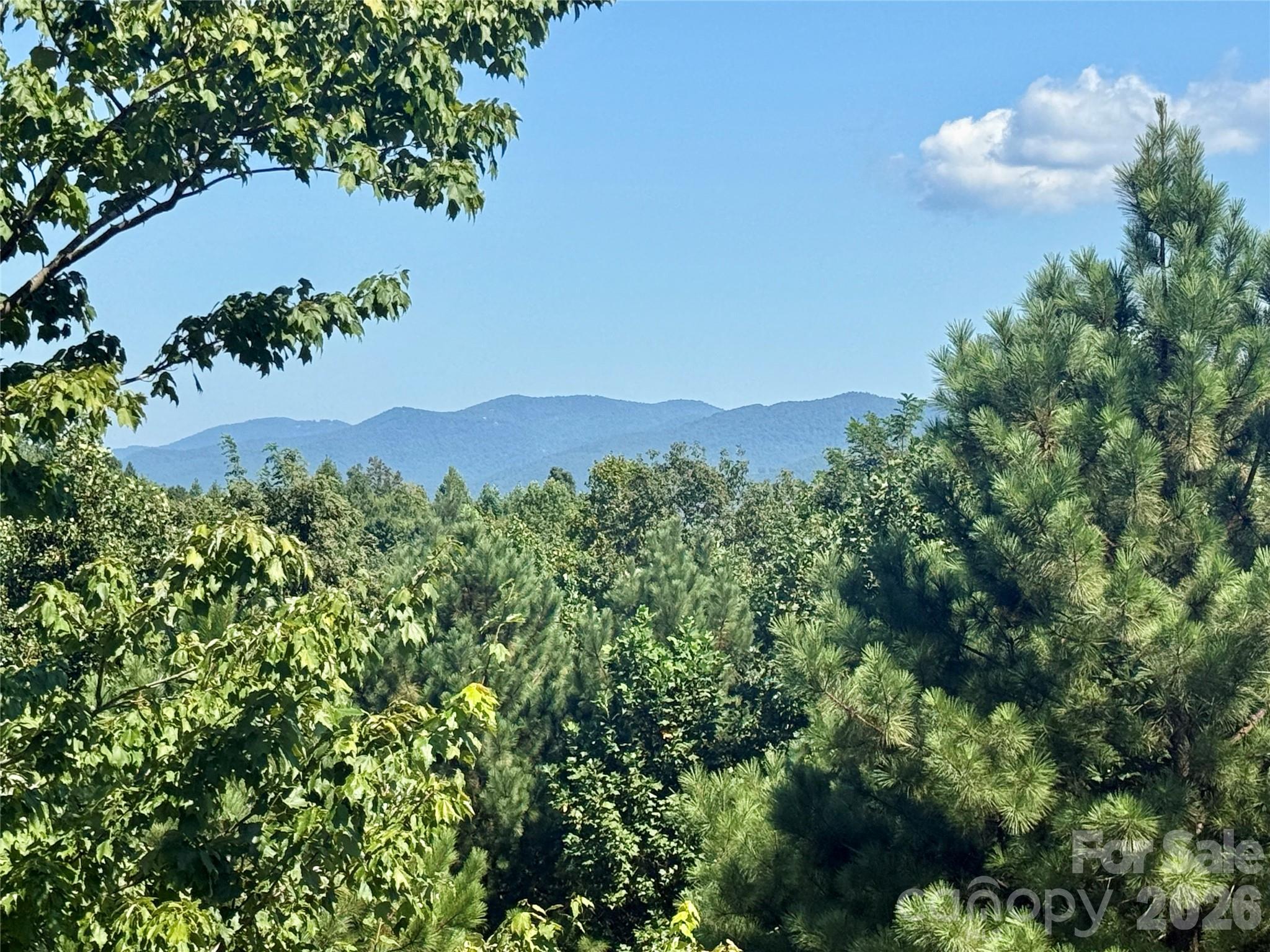 315 Lakeview Trail Property Photo 22