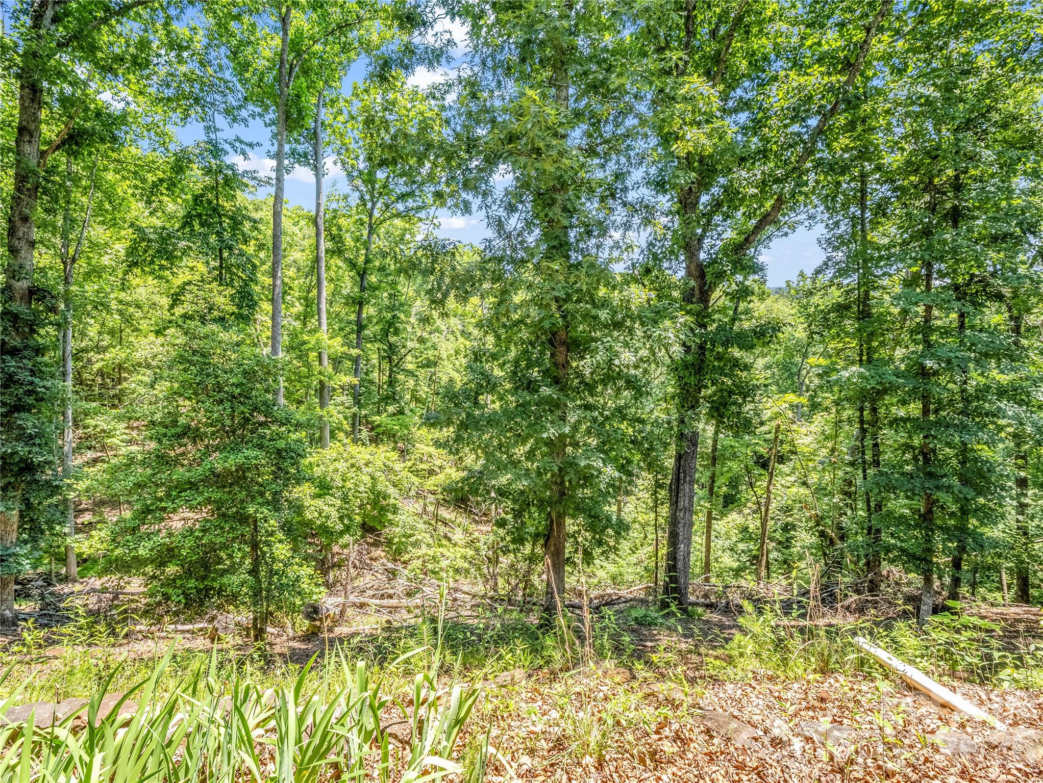 137 Amys Ridge Road Property Photo 35