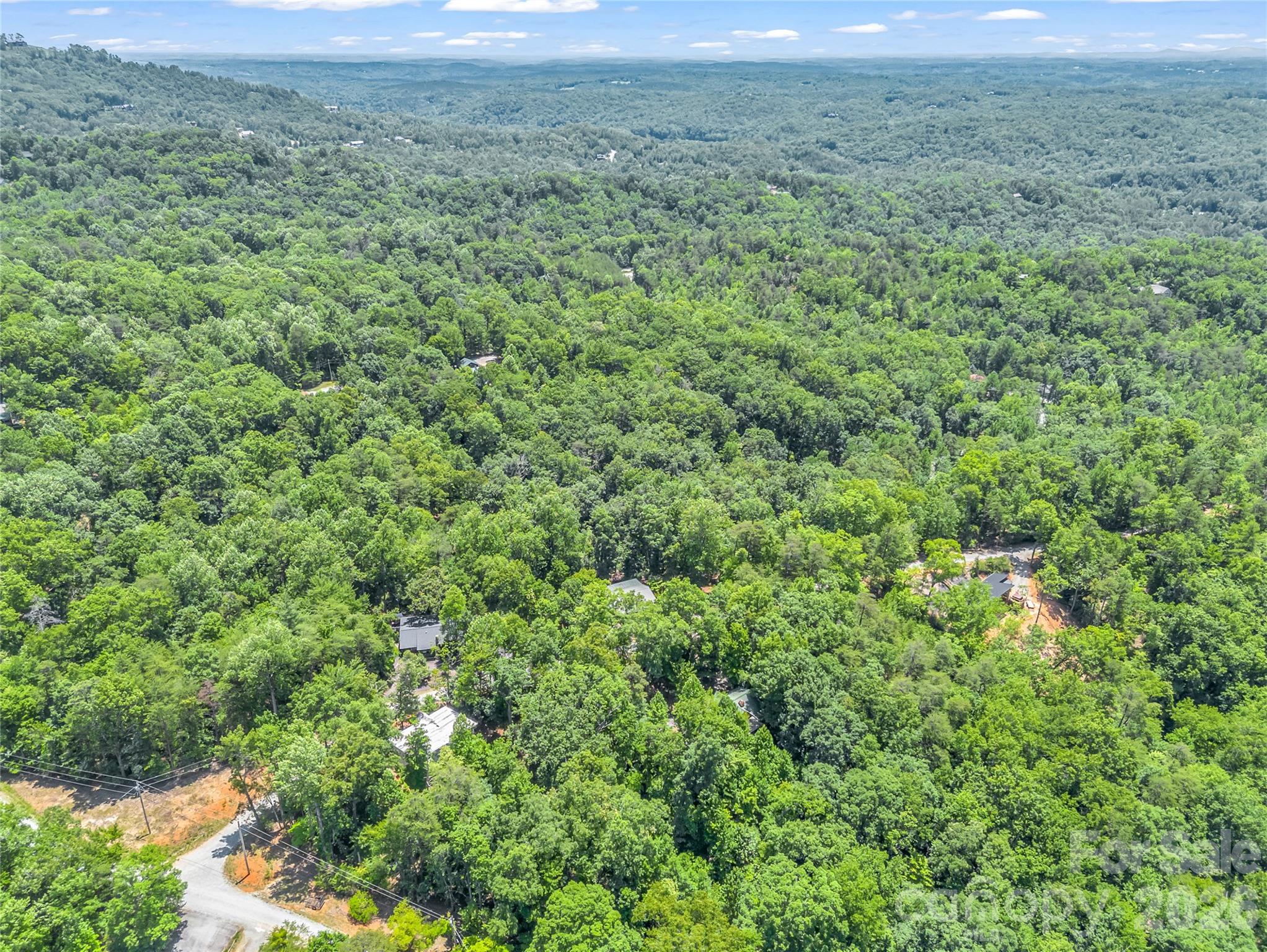 137 Amys Ridge Road Property Photo 38