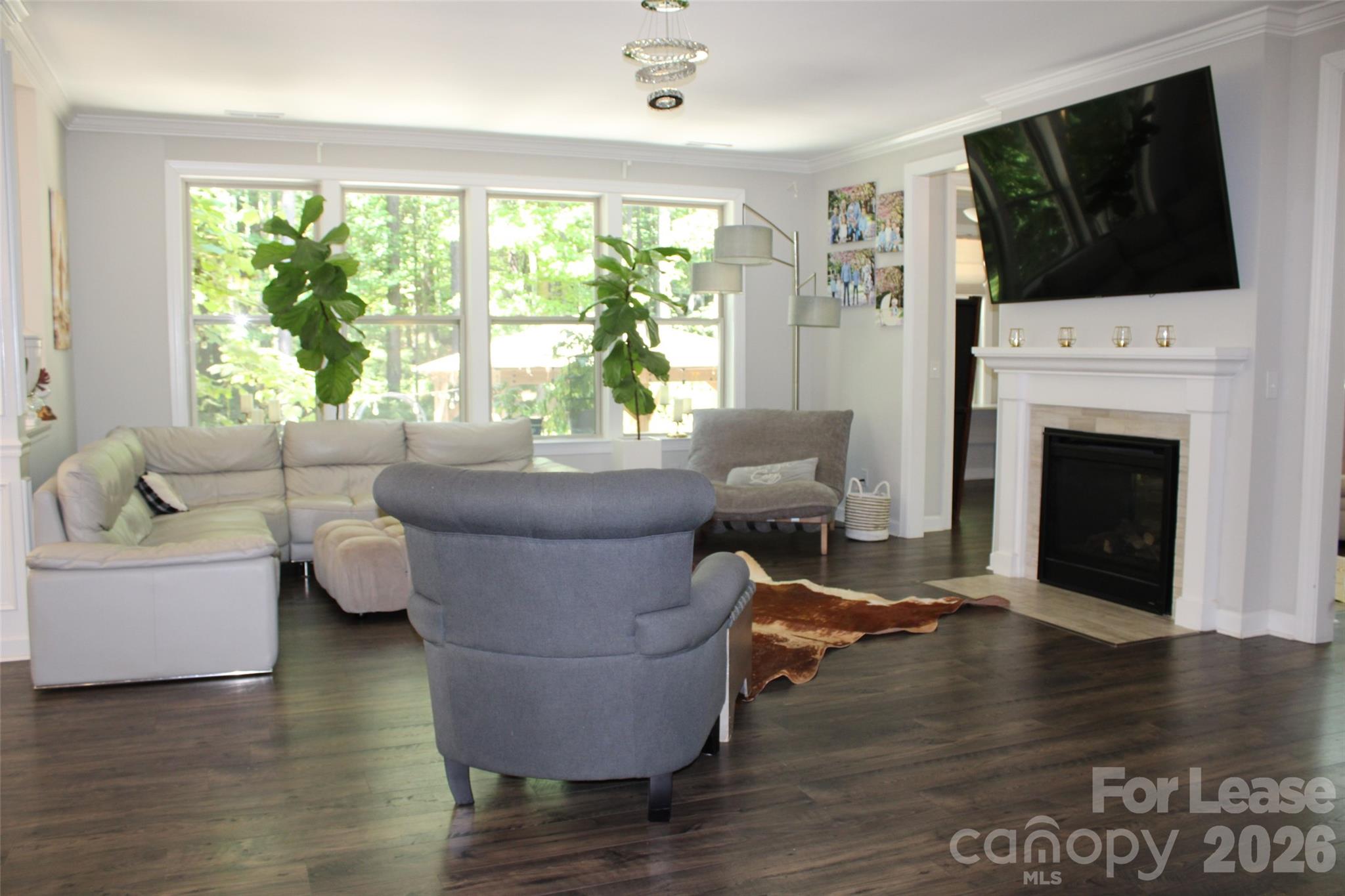 4181 Palm Drive Property Photo 7