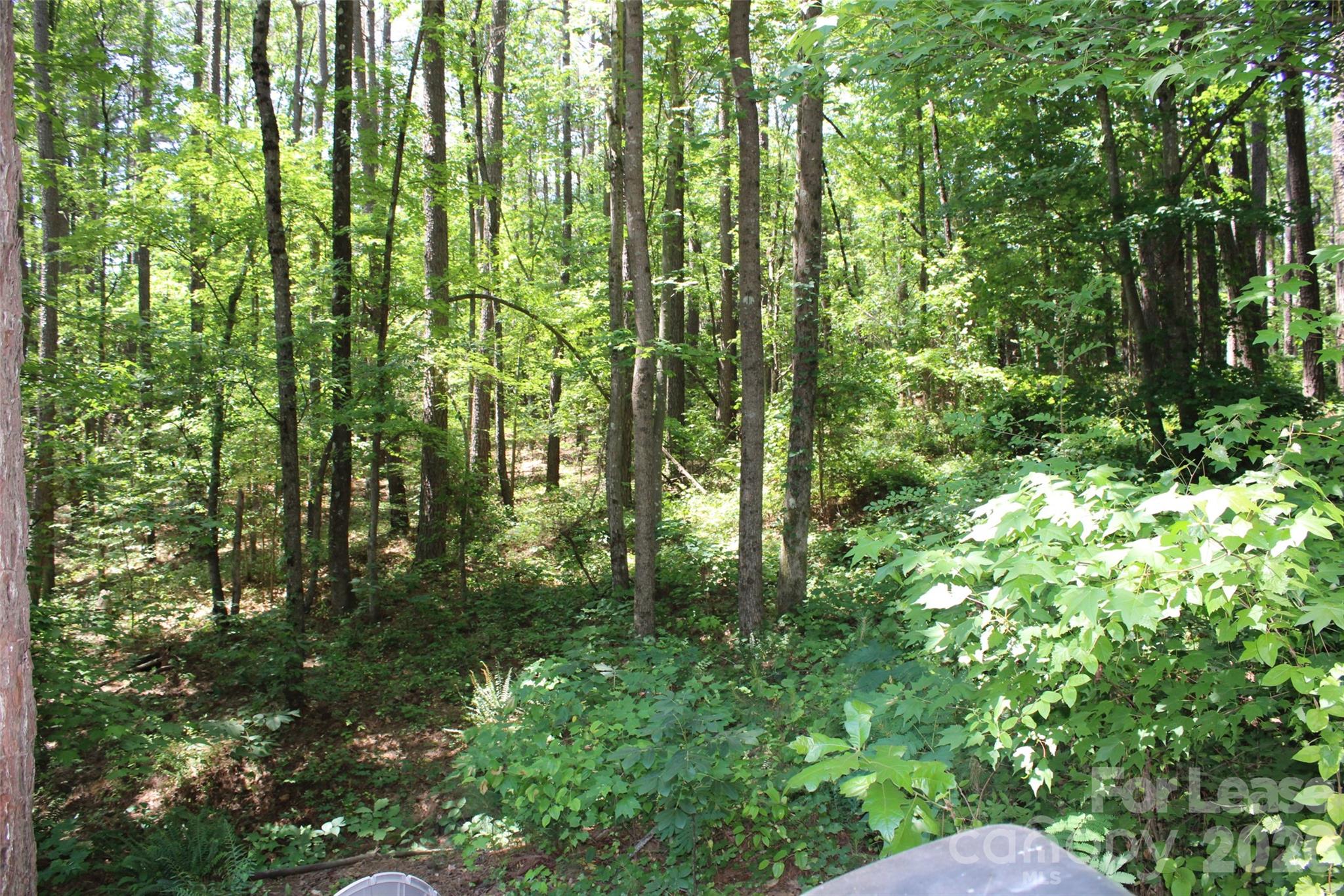 4181 Palm Drive Property Photo 34