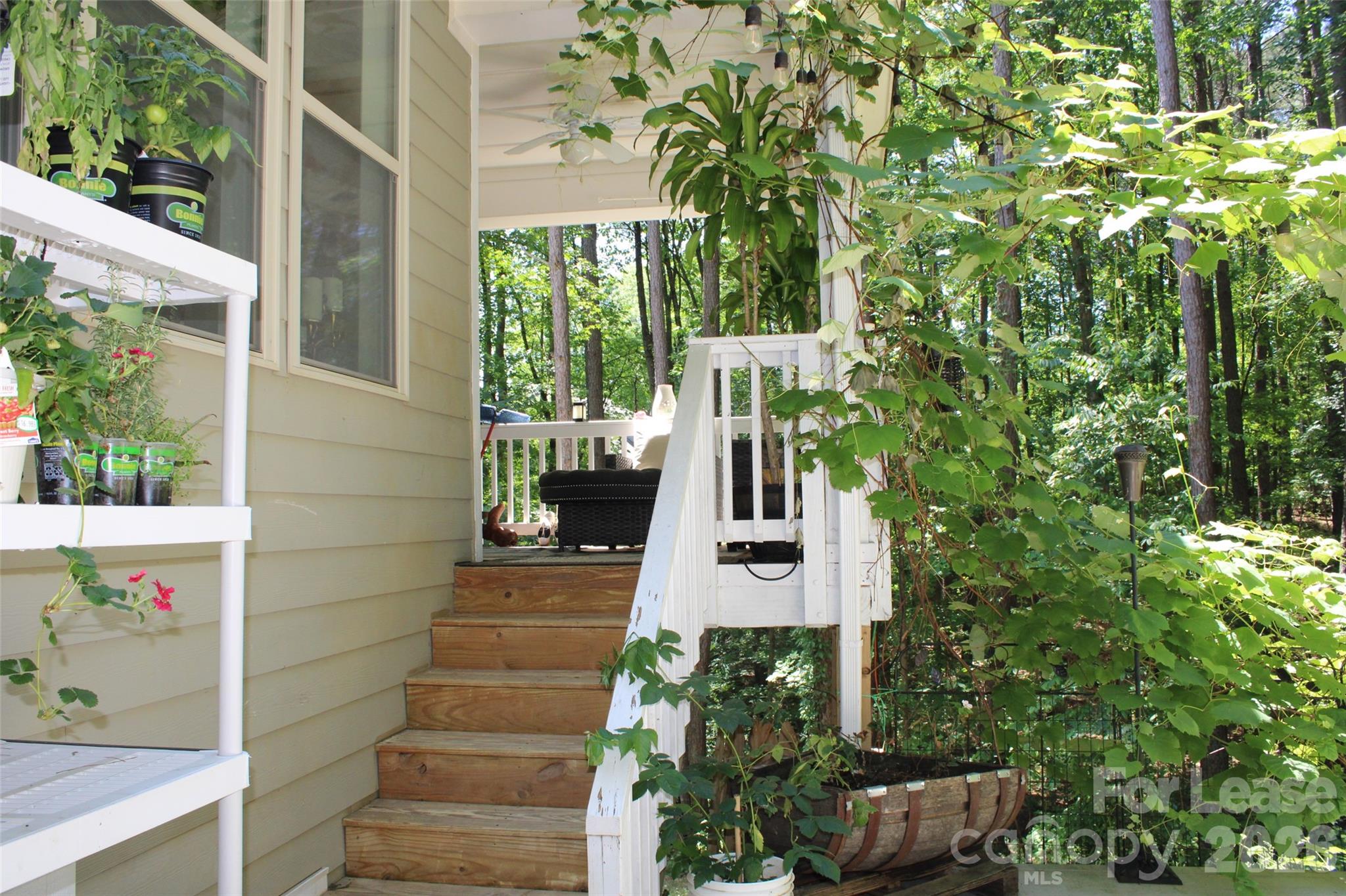 4181 Palm Drive Property Photo 36