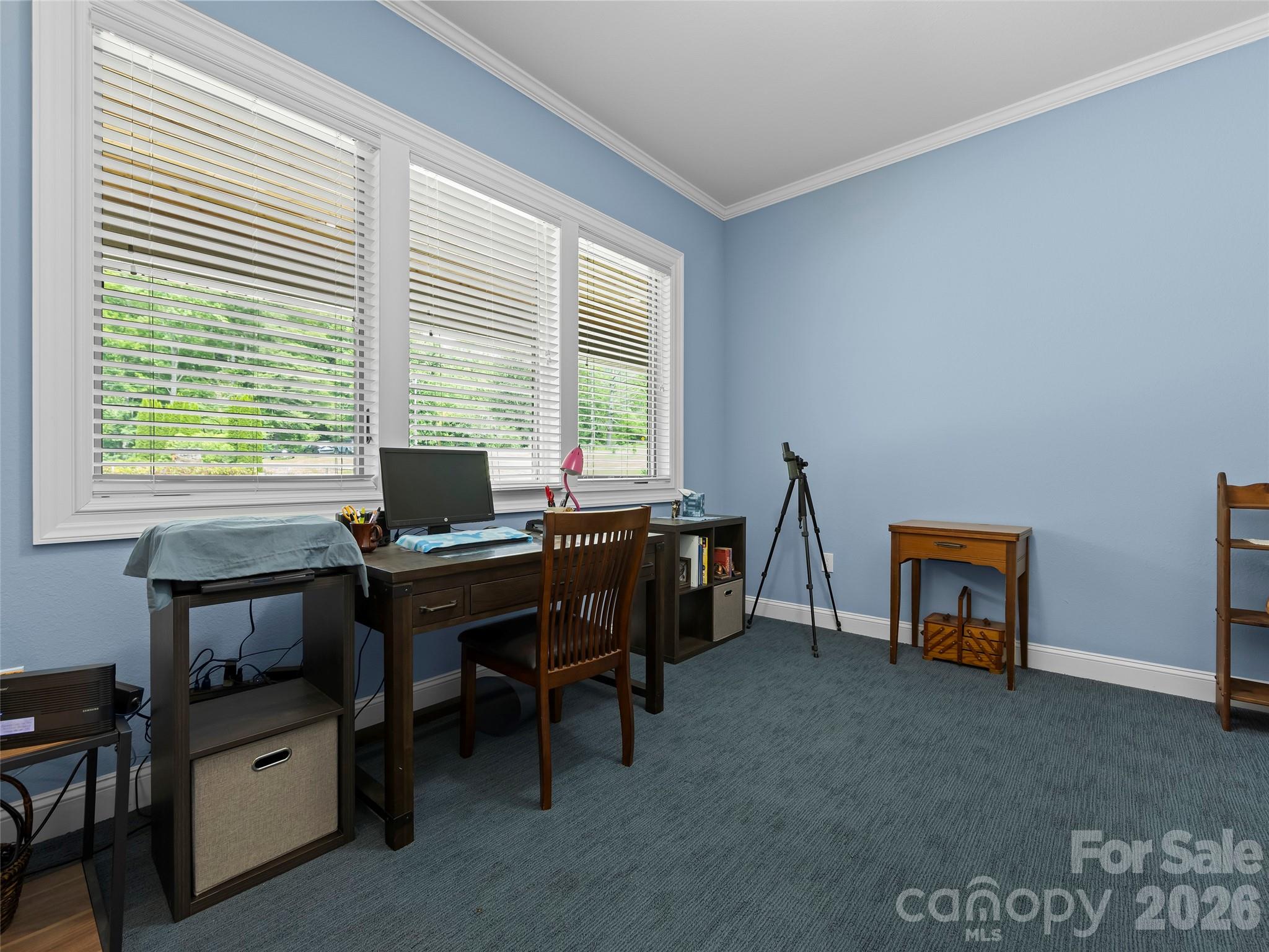 40 Shining Rock Drive Property Photo 12