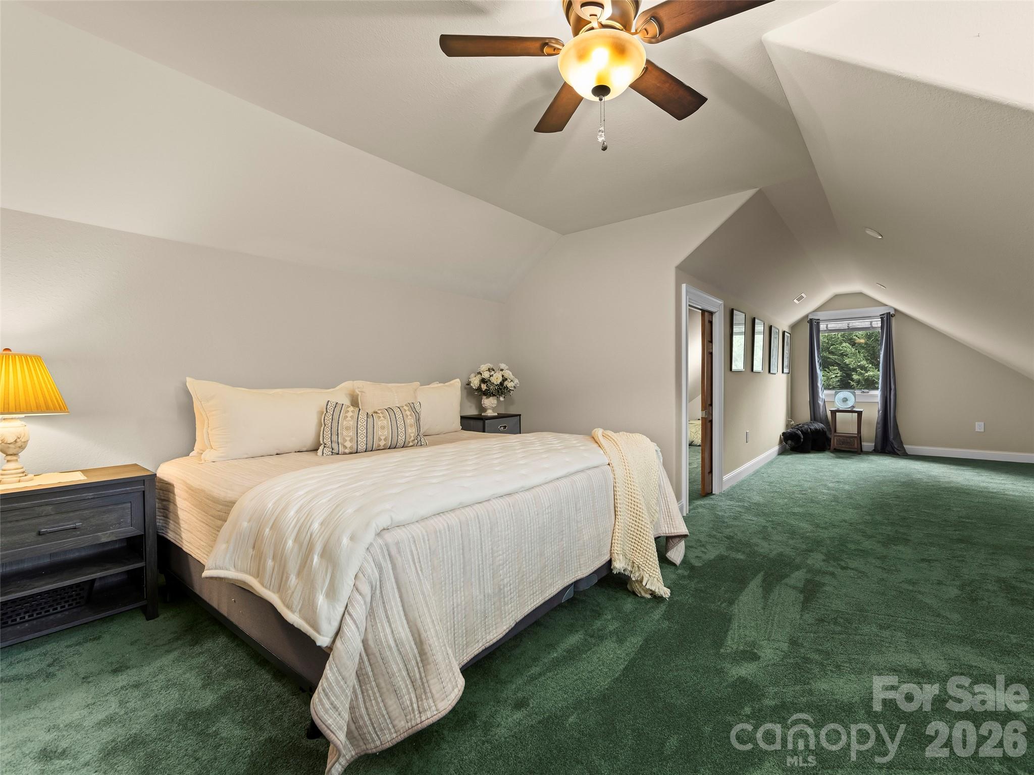 40 Shining Rock Drive Property Photo 29