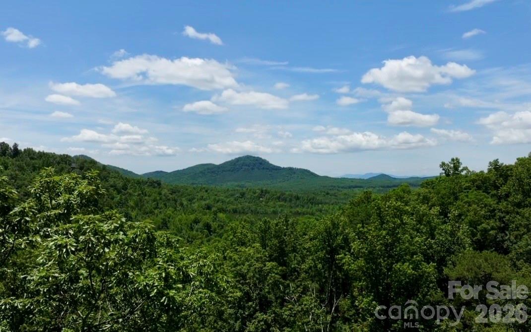 108 Mountain Brook Trail Property Photo 1