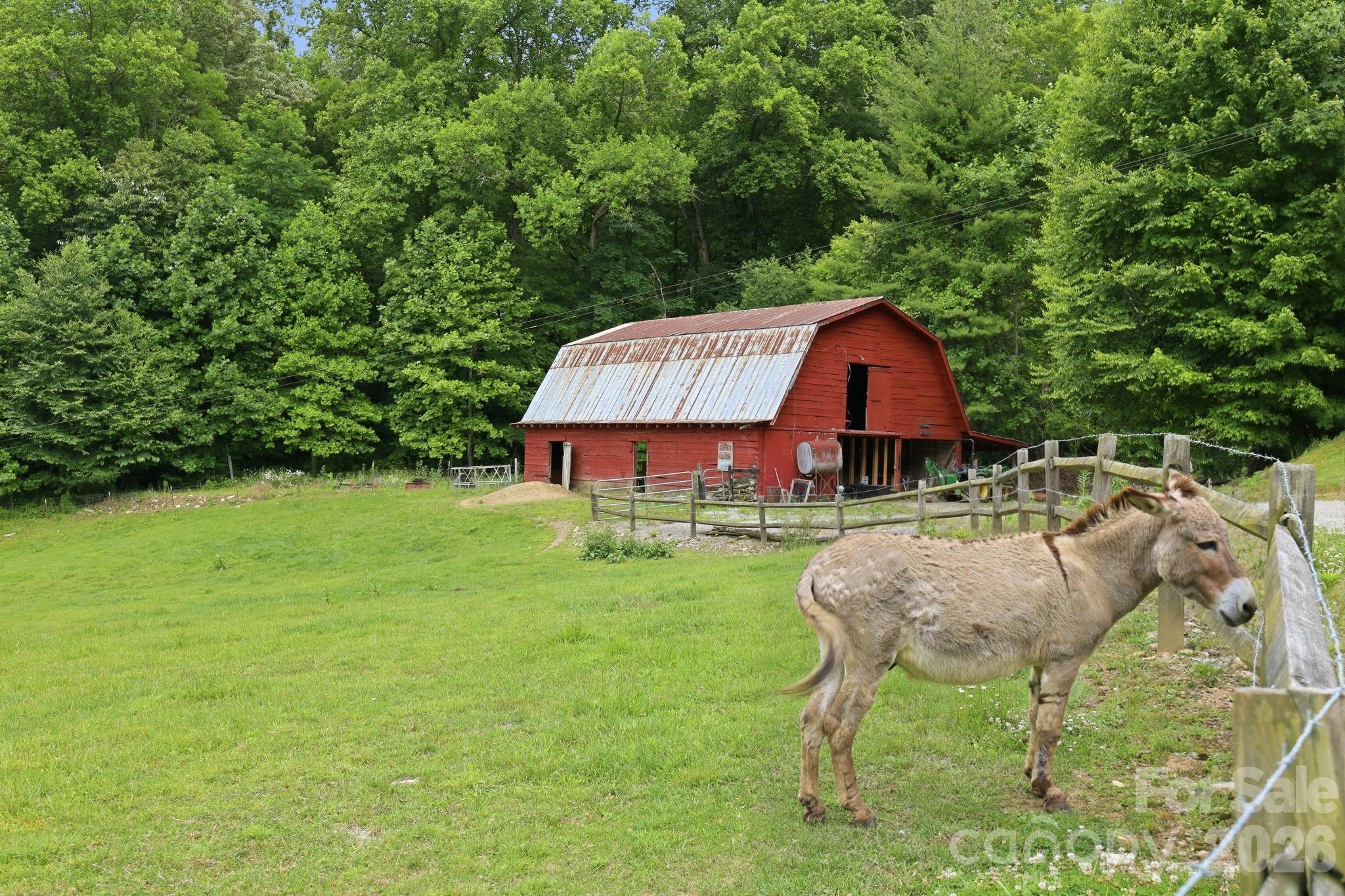 570 Rugged Top Road Property Photo 32