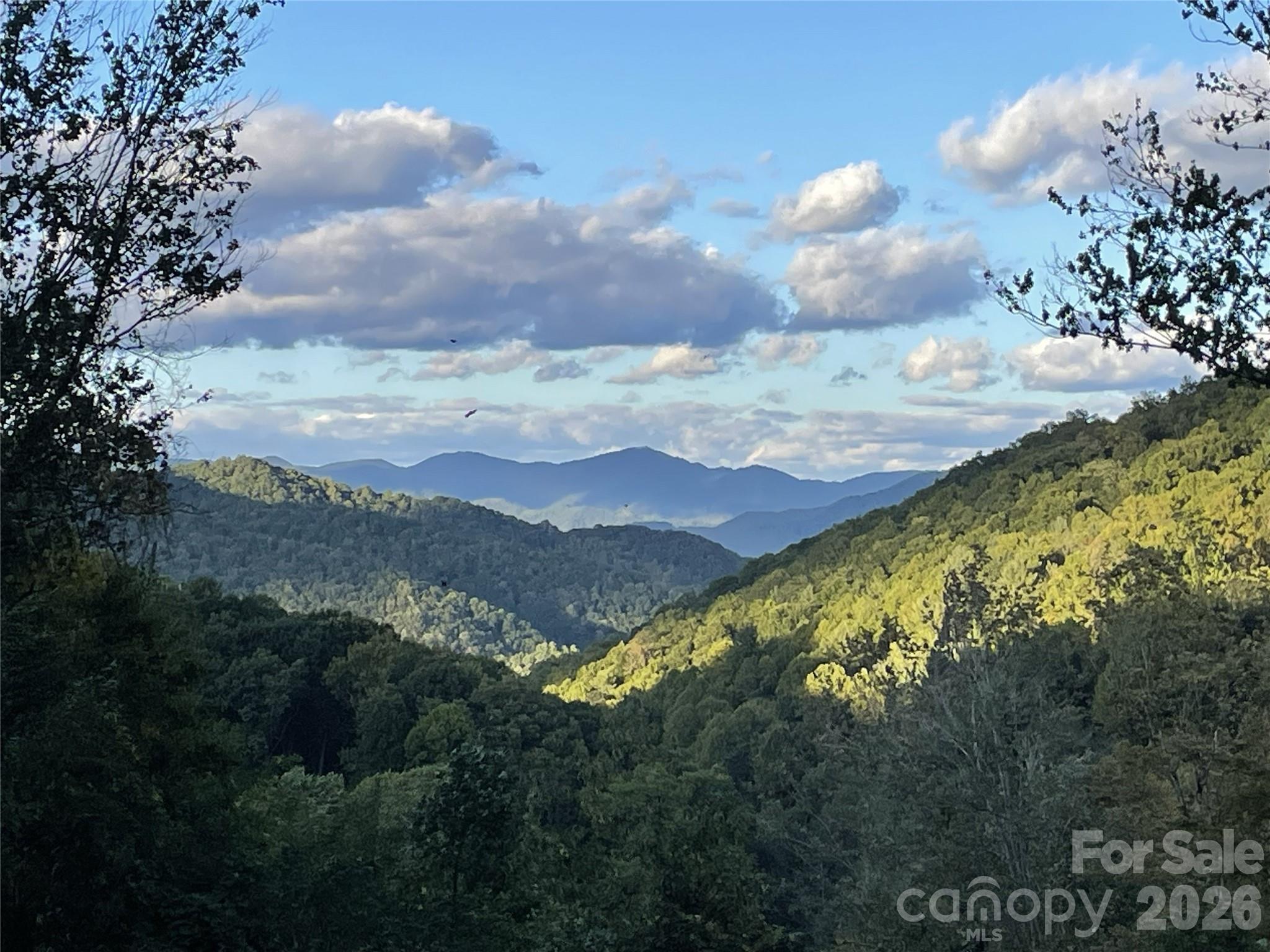 570 Rugged Top Road Property Photo 42