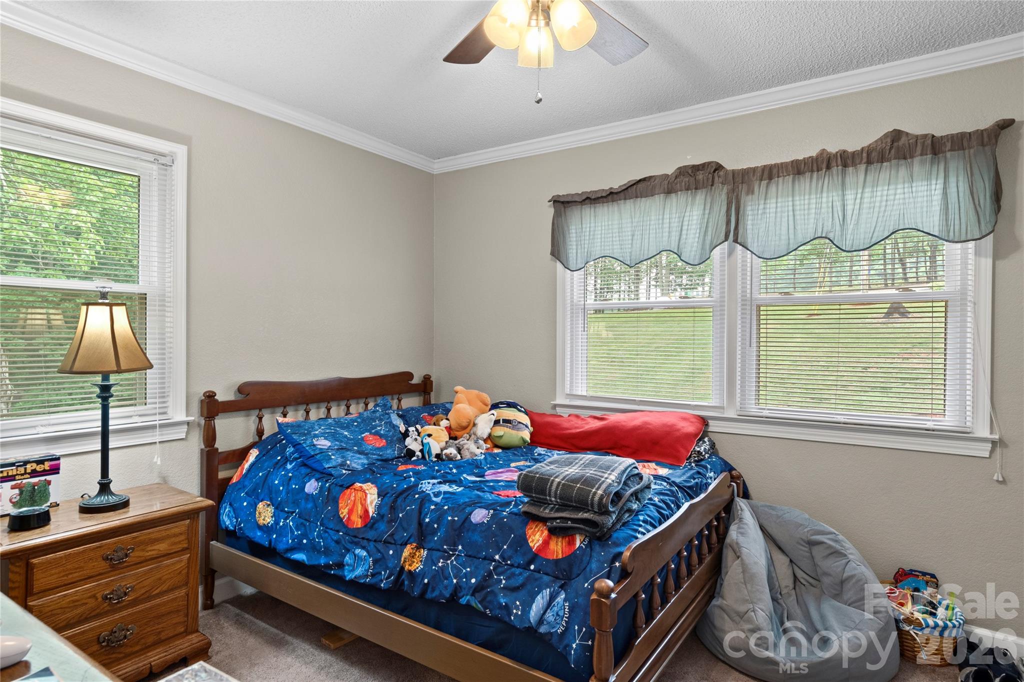 303 Alexander Drive Property Photo 22