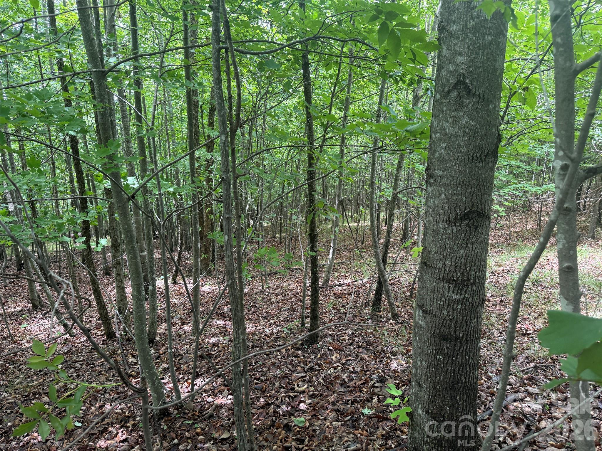 V/l Scenic Vista Drive 246 Property Photo 5