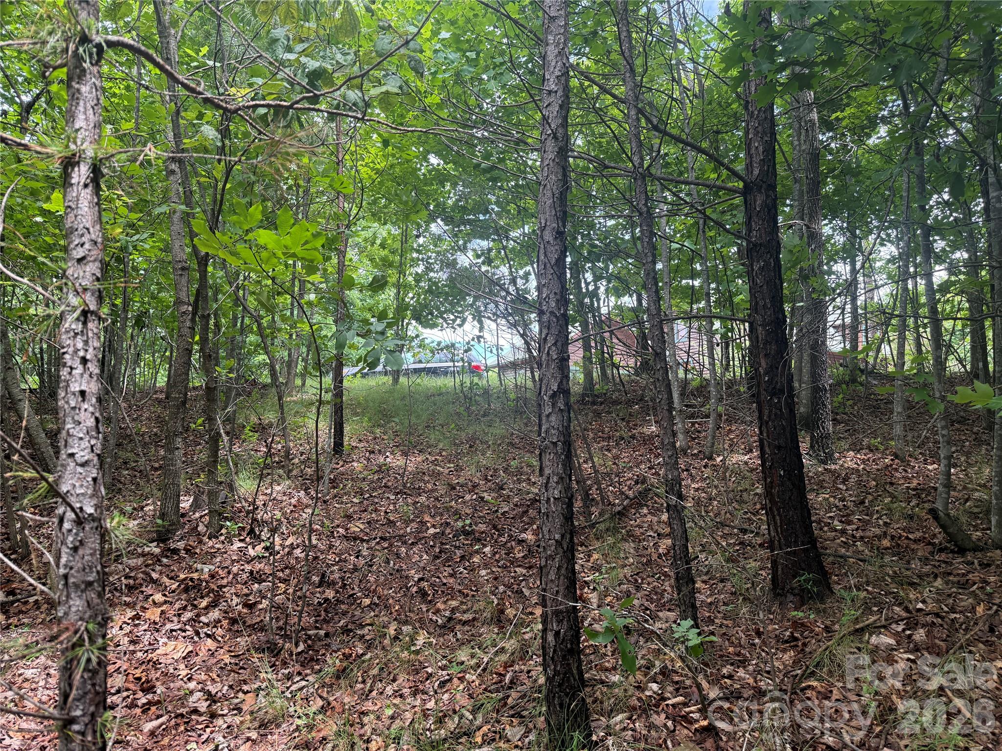 V/l Scenic Vista Drive 246 Property Photo 10