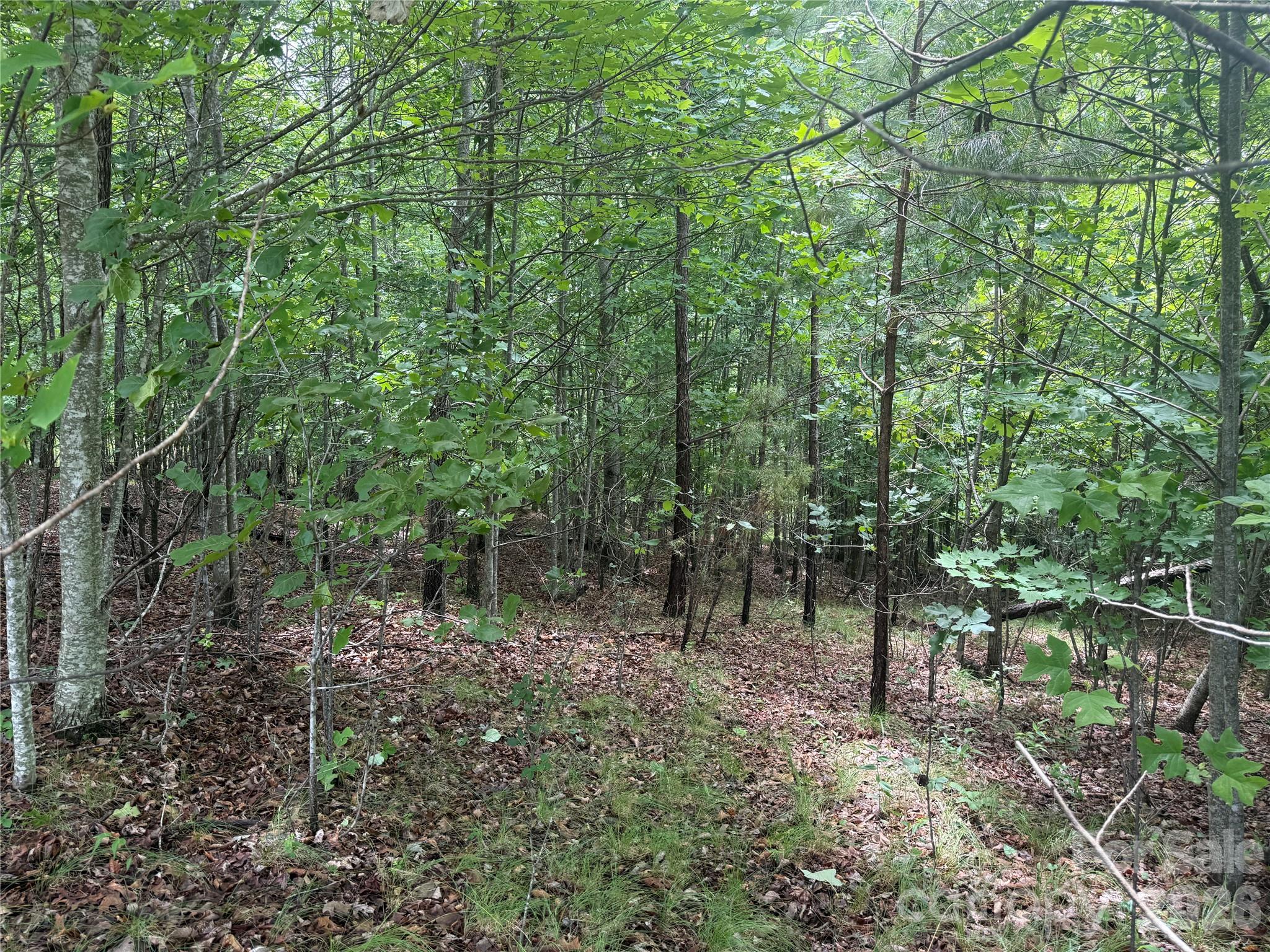 V/l Scenic Vista Drive 246 Property Photo 11