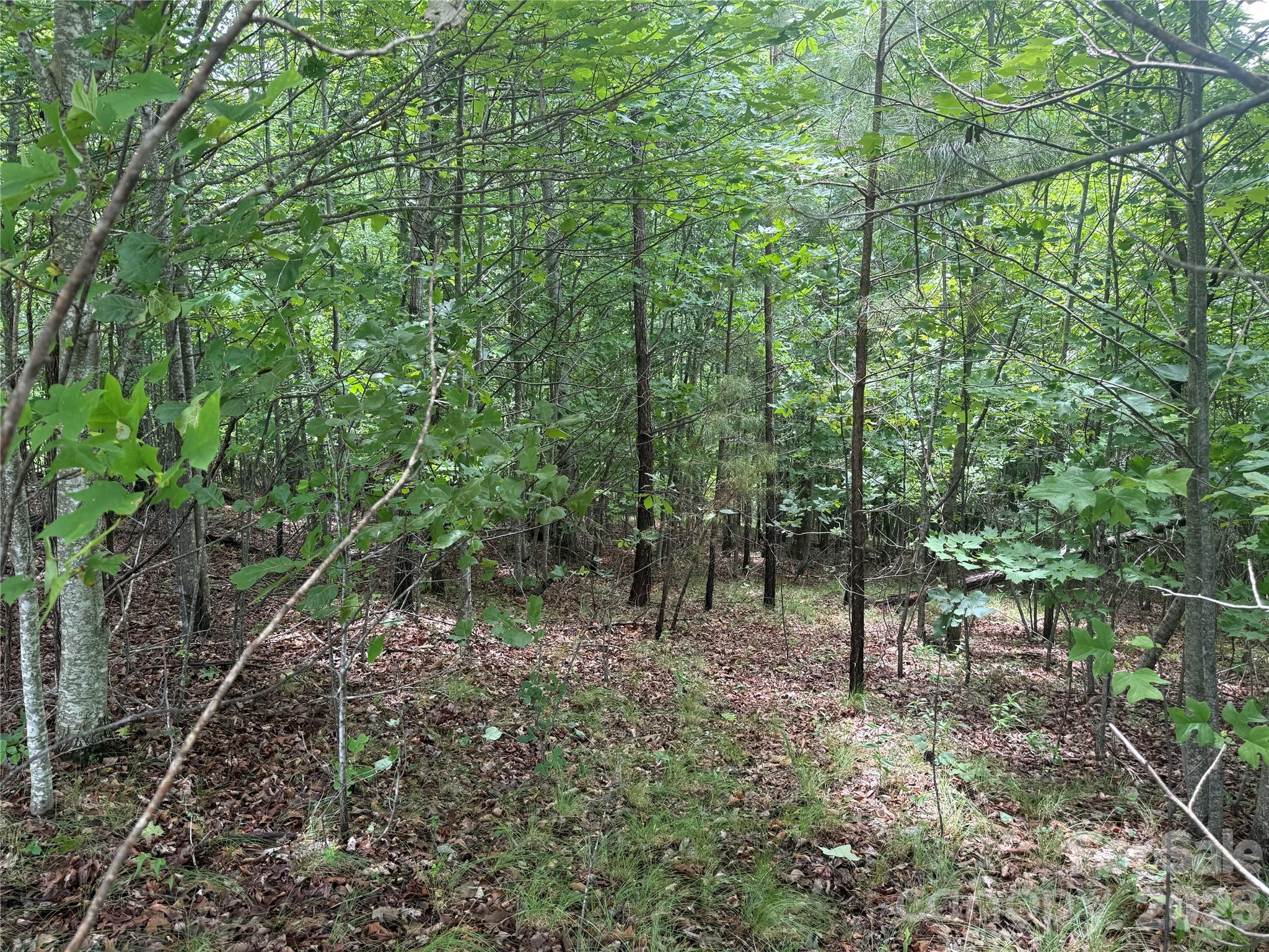 V/l Scenic Vista Drive 246 Property Photo 12