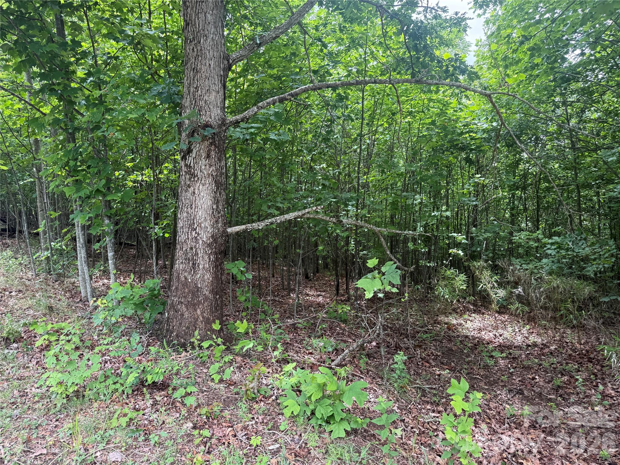 V/l Scenic Vista Drive 246 Property Photo 13