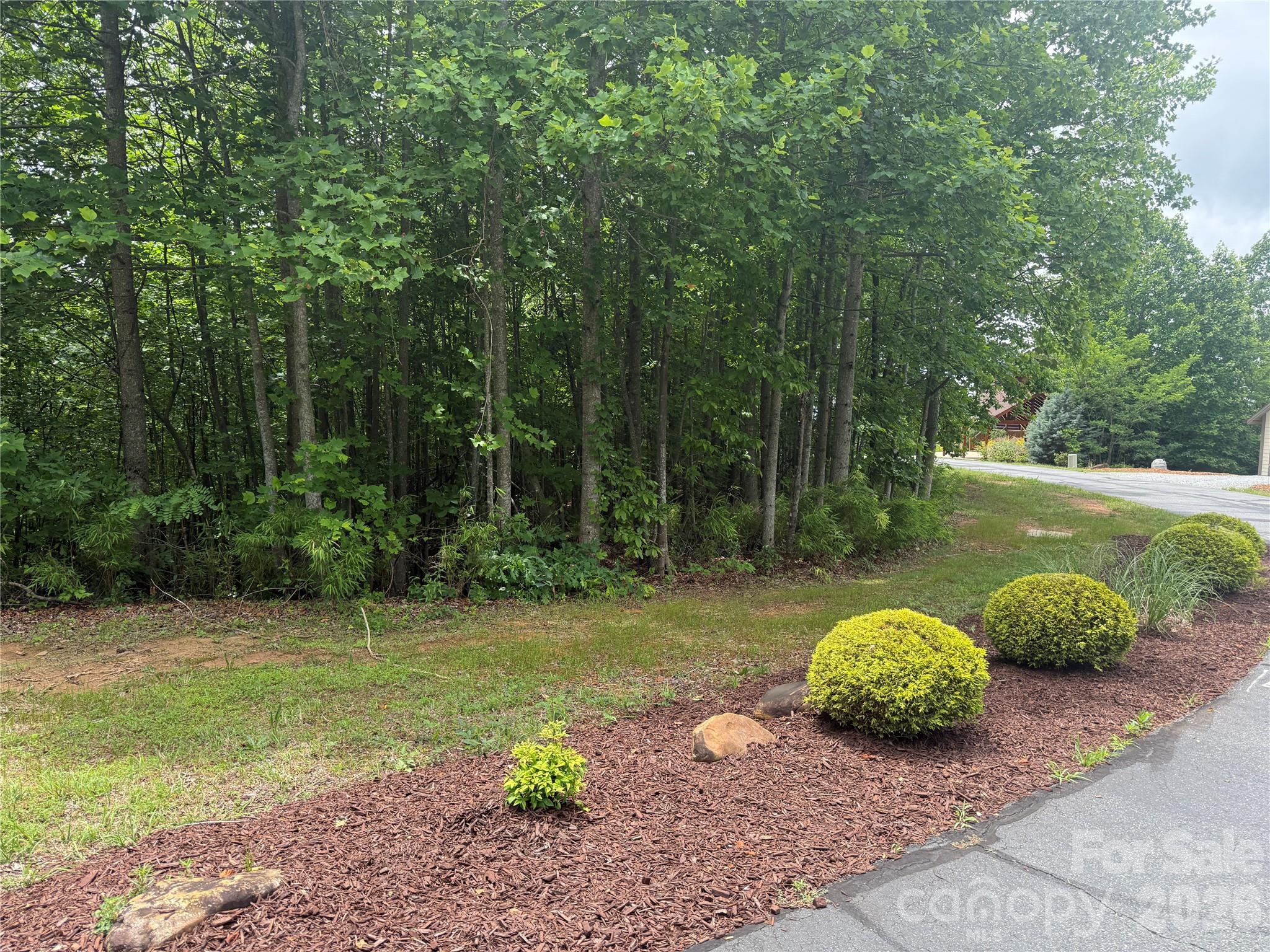 V/l Scenic Vista Drive 246 Property Photo 15