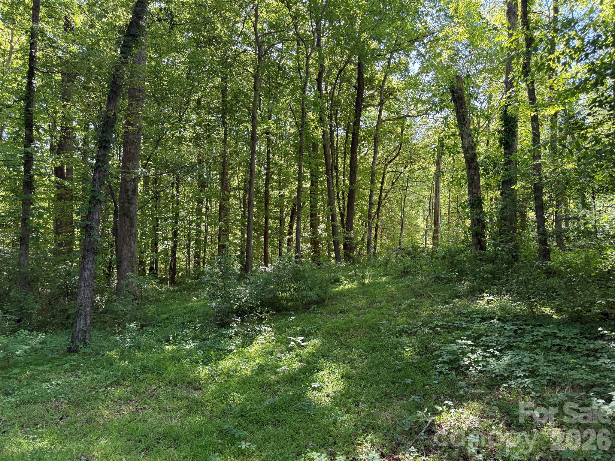 605 Shiloh Road Property Photo 2