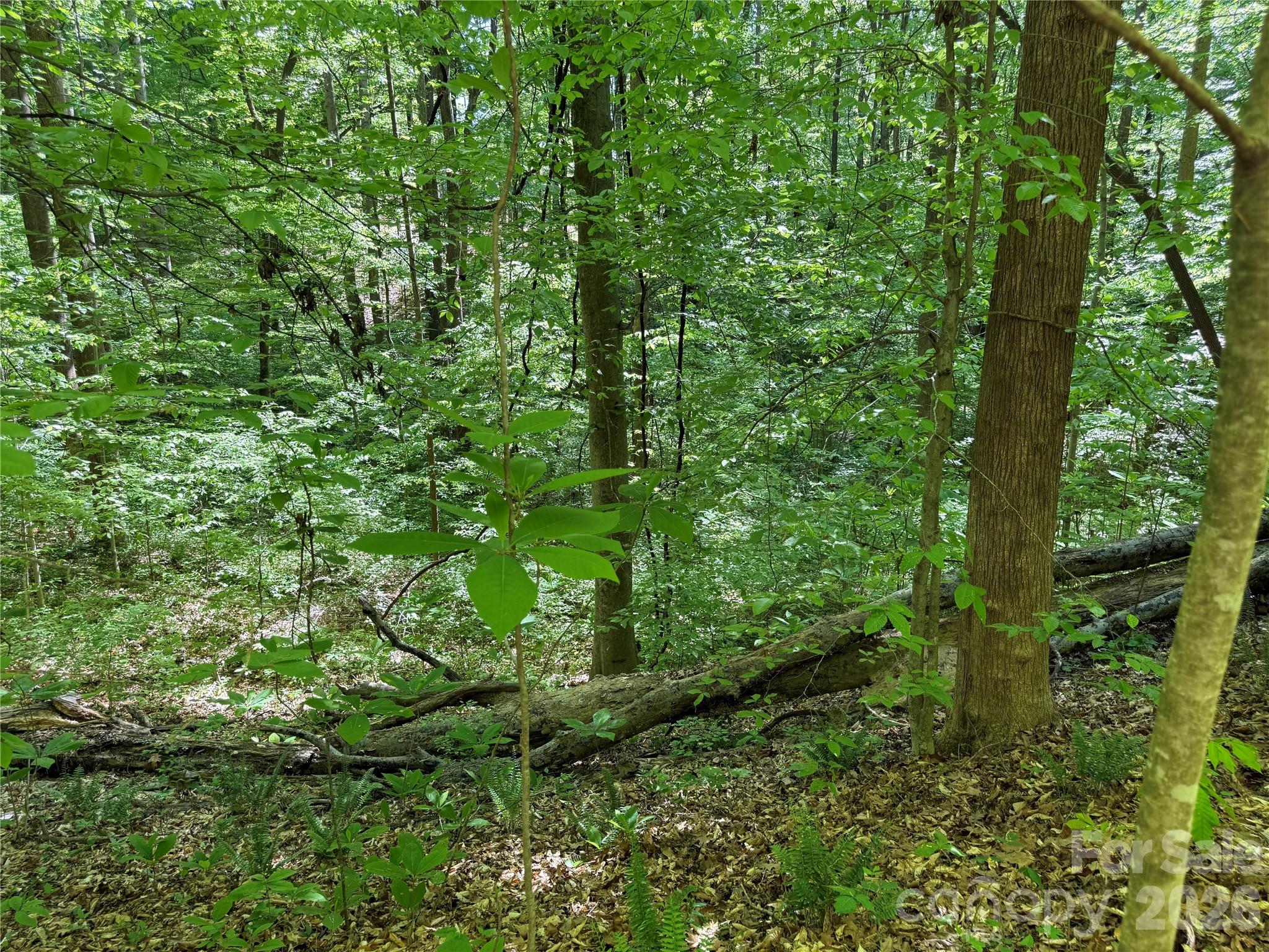 605 Shiloh Road Property Photo 3