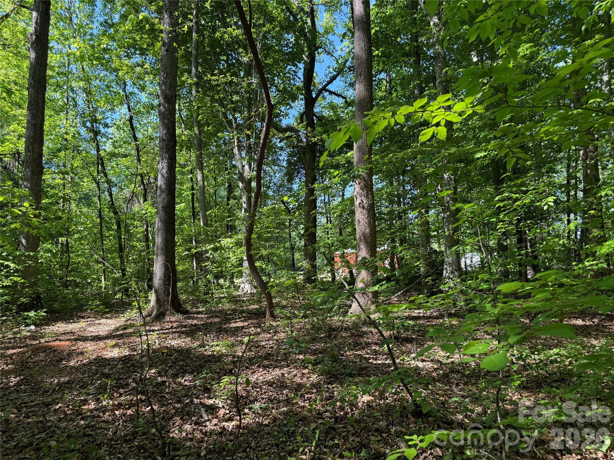 605 Shiloh Road Property Photo 5