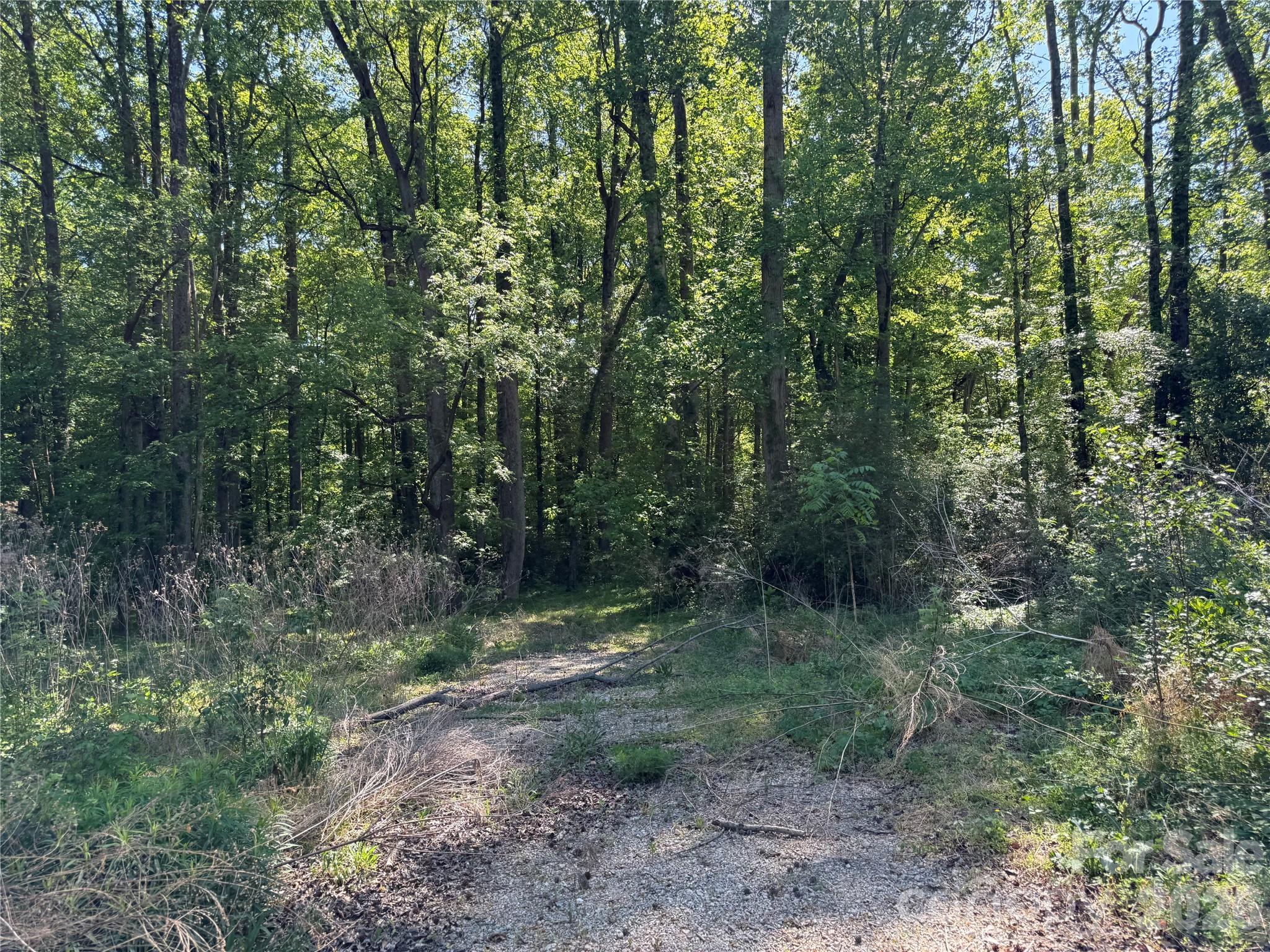 605 Shiloh Road Property Photo 6