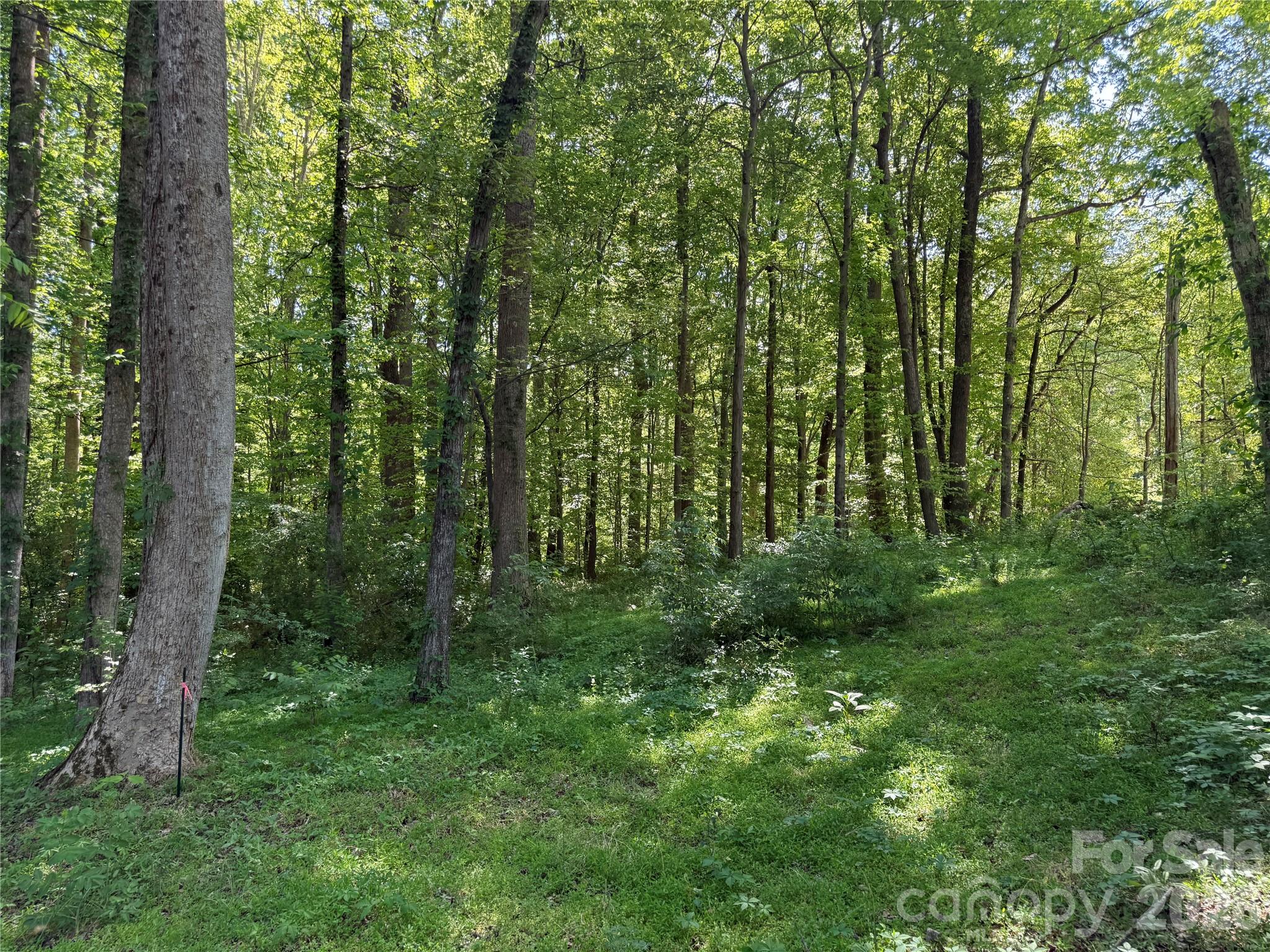 605 Shiloh Road Property Photo 7