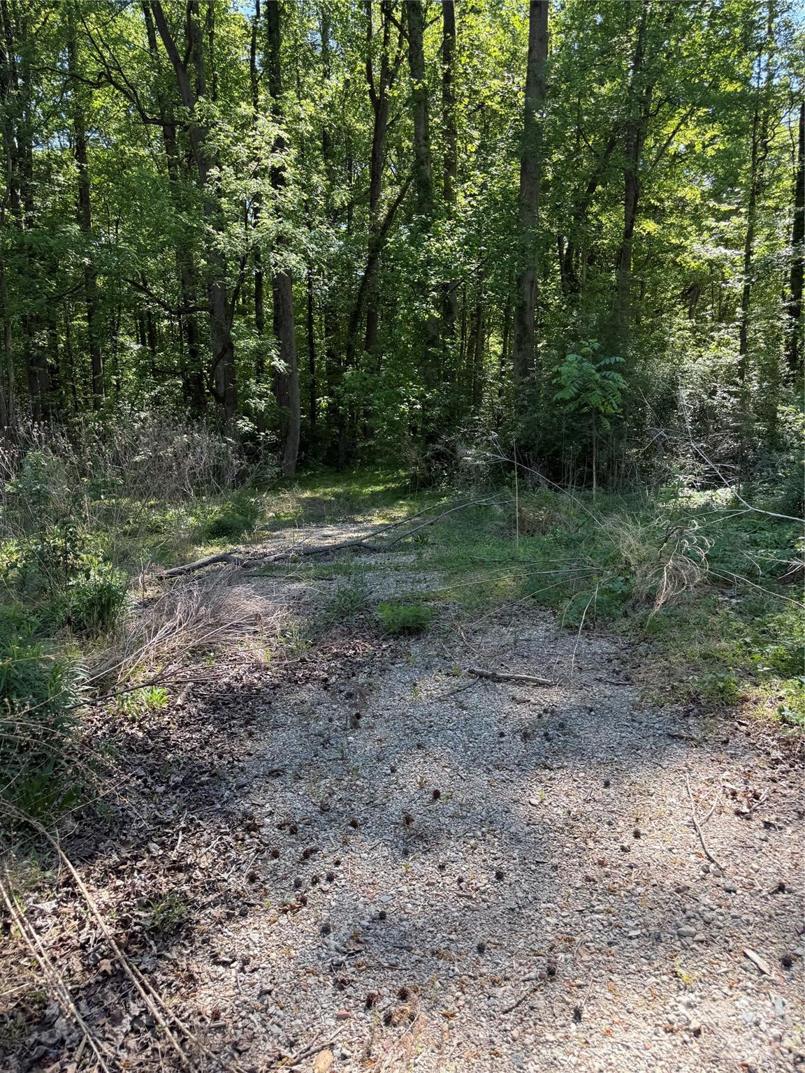 605 Shiloh Road Property Photo 9