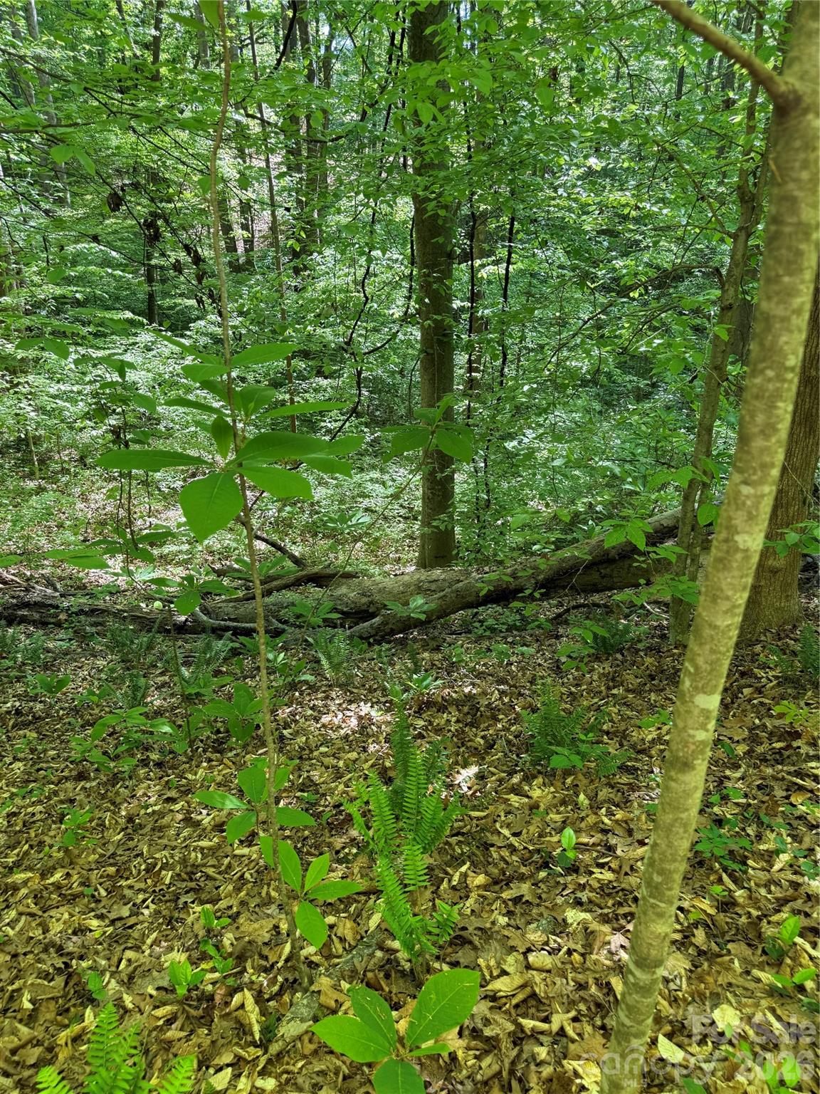 605 Shiloh Road Property Photo 10