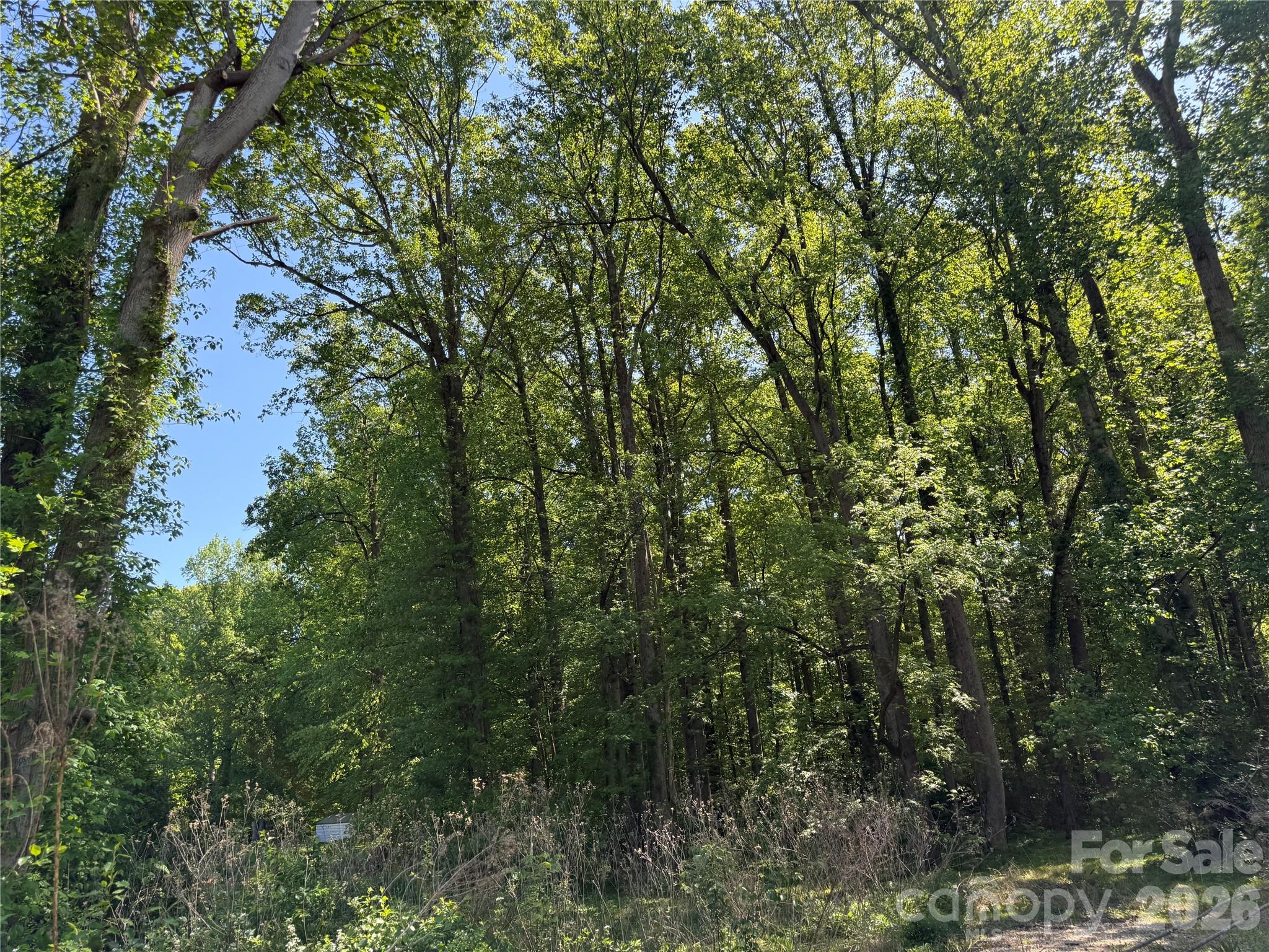 605 Shiloh Road Property Photo 11