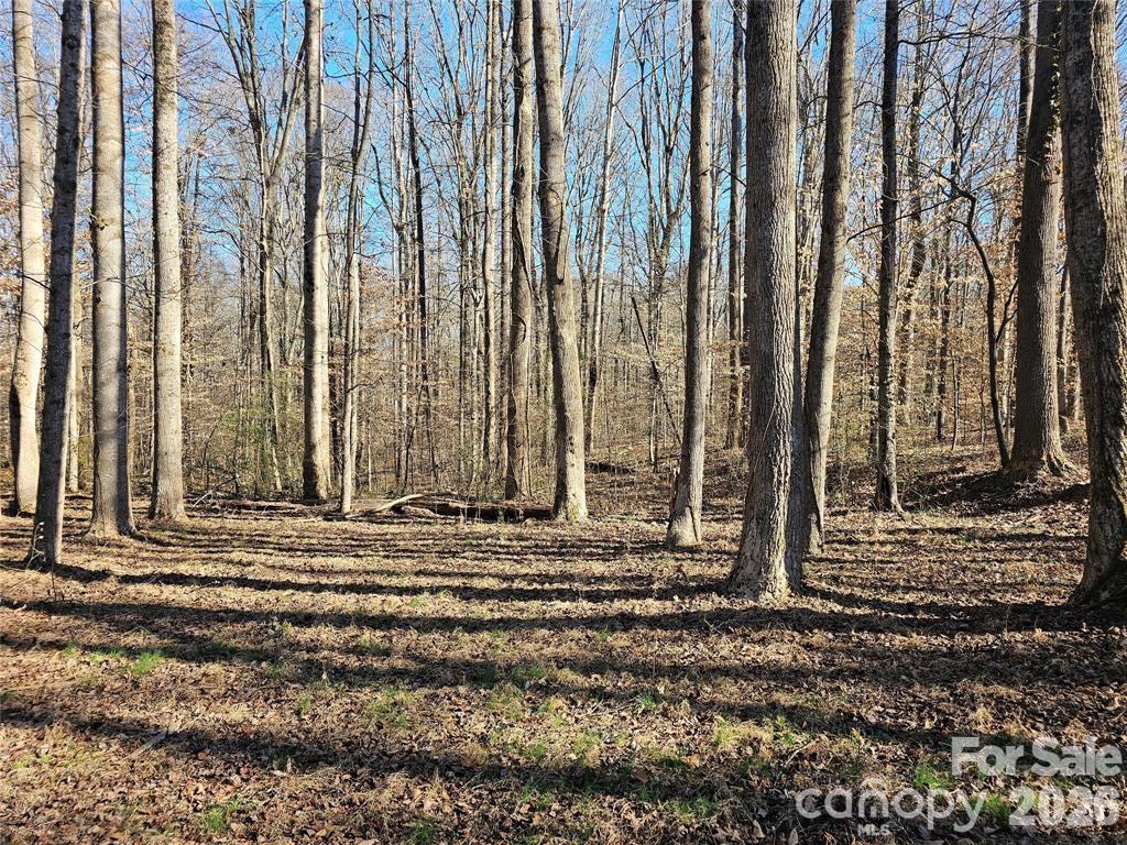 605 Shiloh Road Property Photo 12