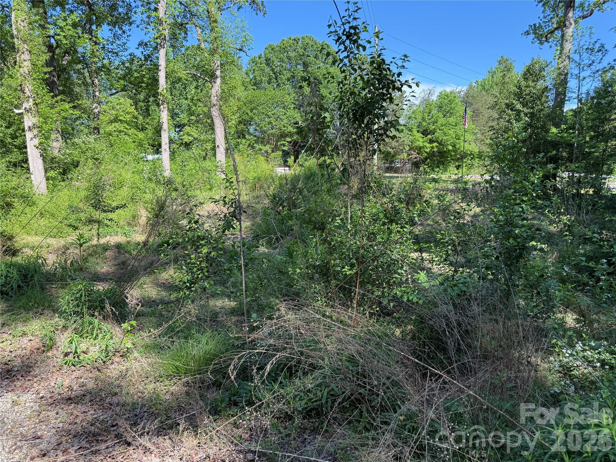 605 Shiloh Road Property Photo 13