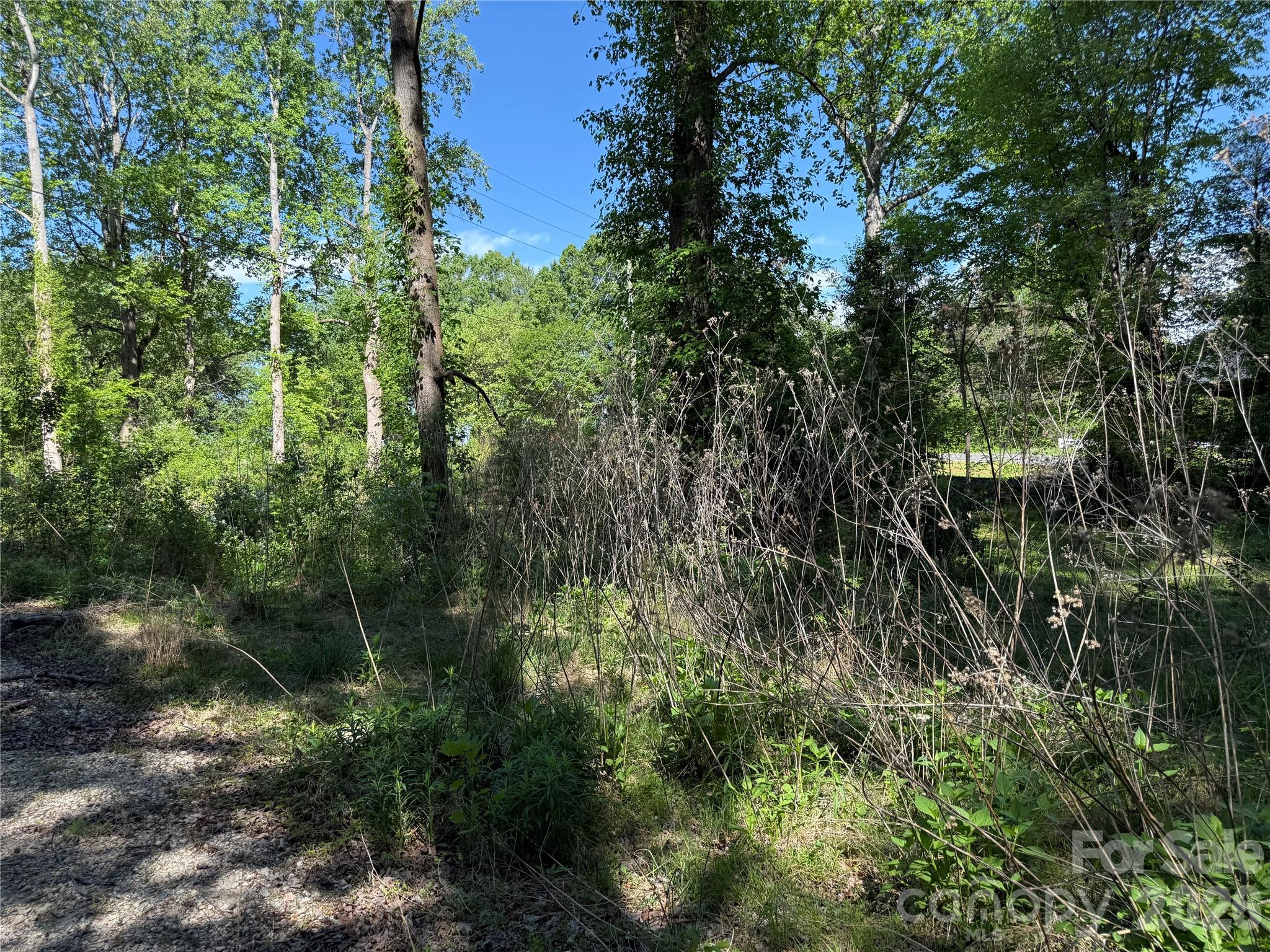 605 Shiloh Road Property Photo 18