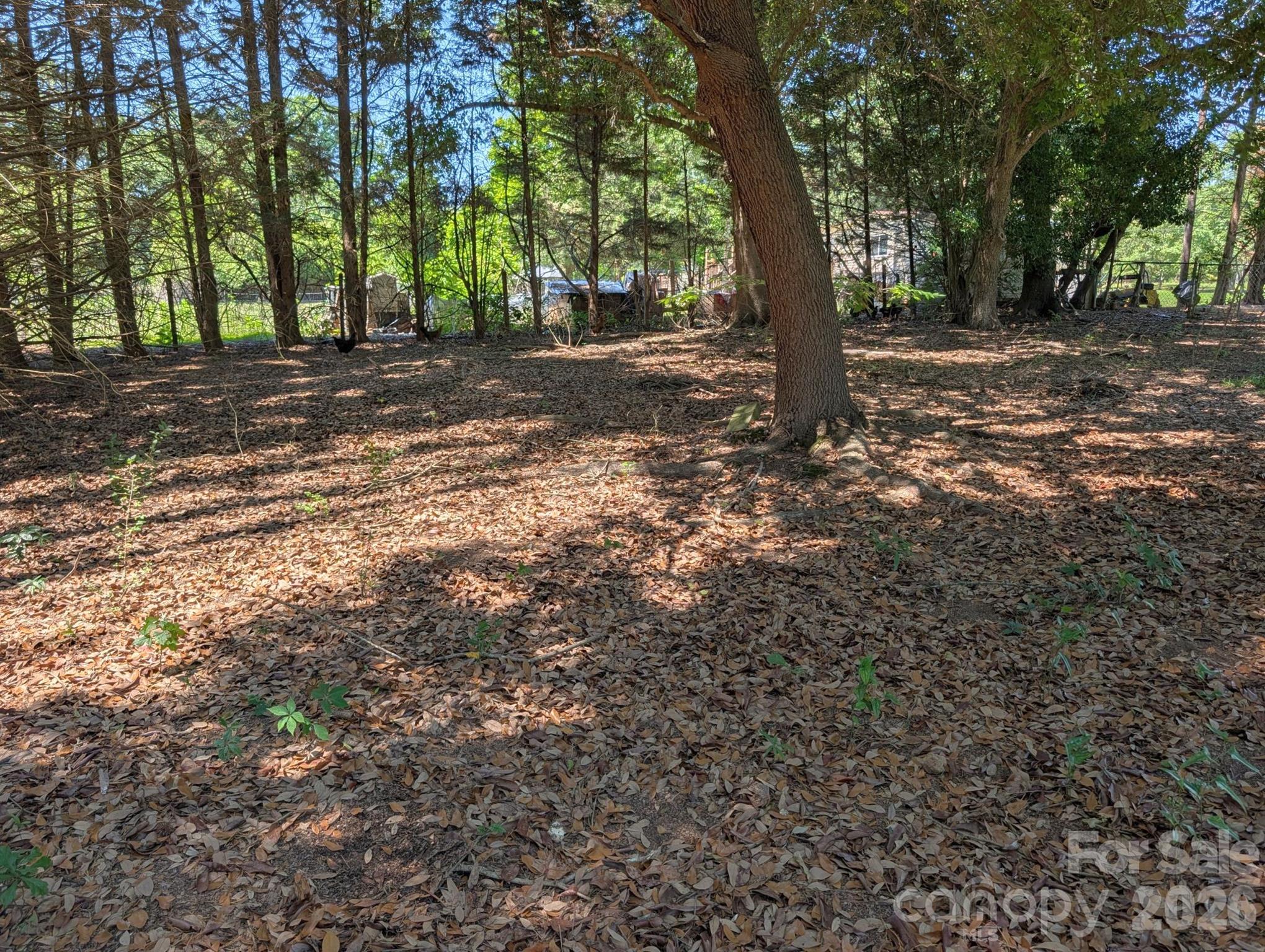 4053 Roddey Road Property Photo 42