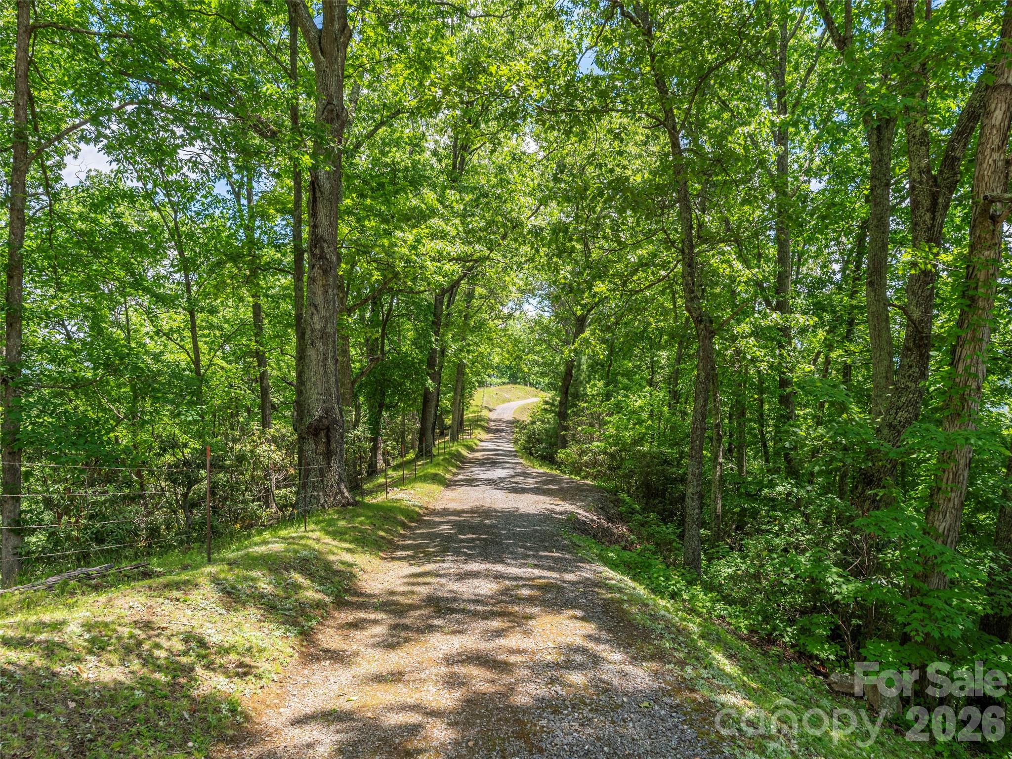 1200 Clark Road Property Photo 25