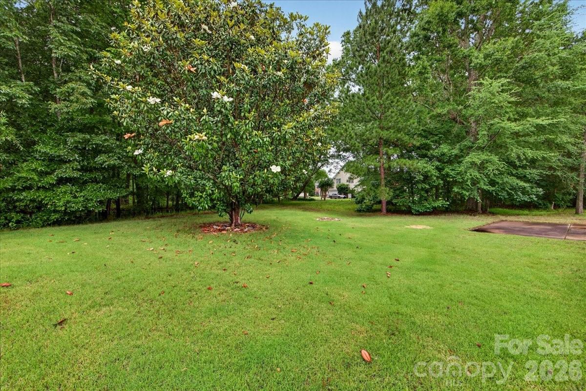 10604 Knight Castle Drive 60 Property Photo 43