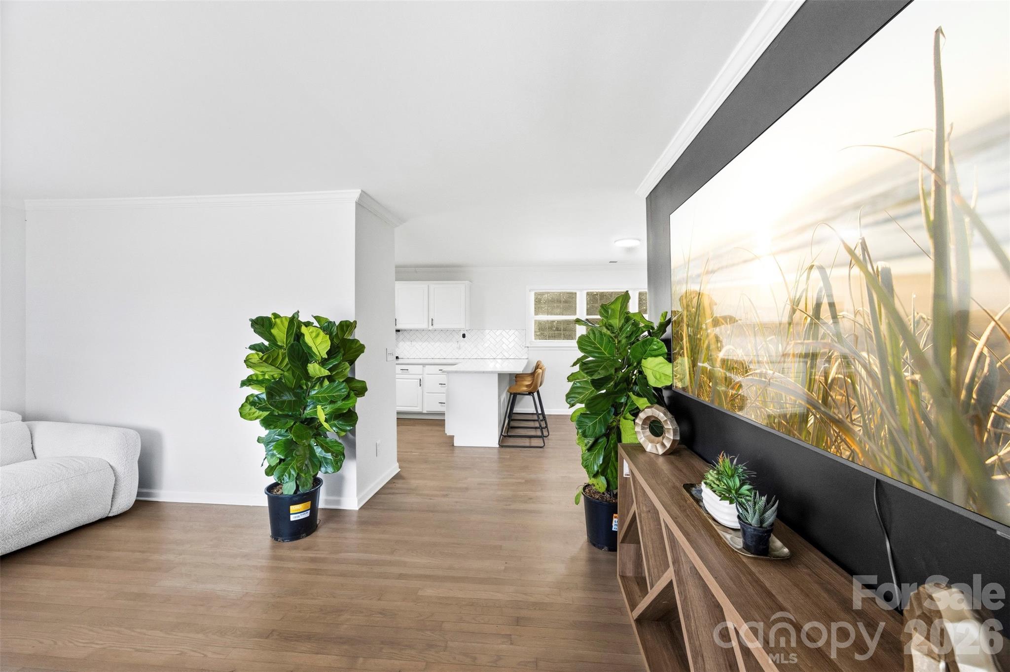 1047 White Plains Road Property Photo 4