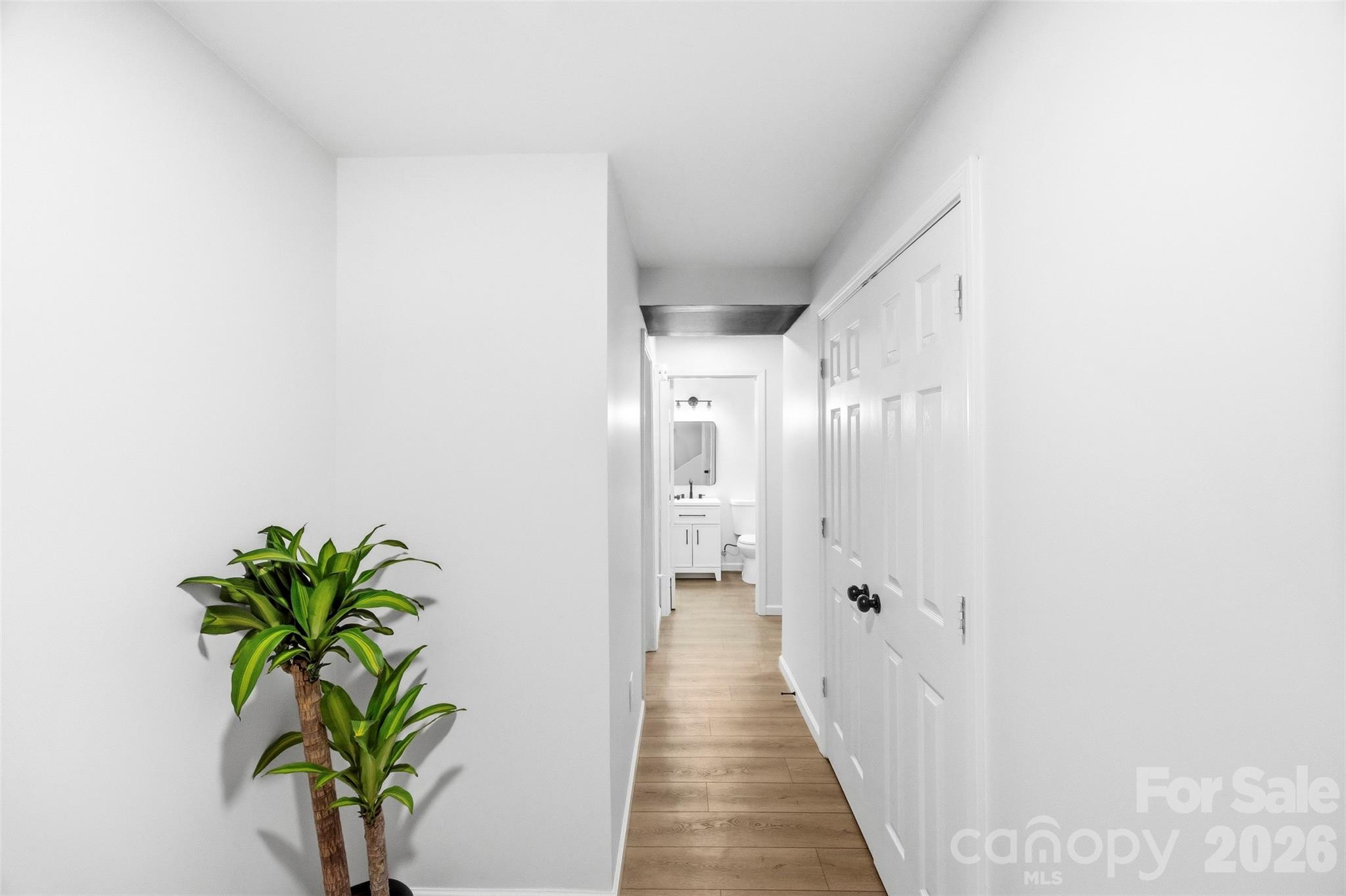 1047 White Plains Road Property Photo 15