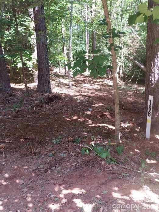 218 Table Rock Trace 166 Property Photo 4