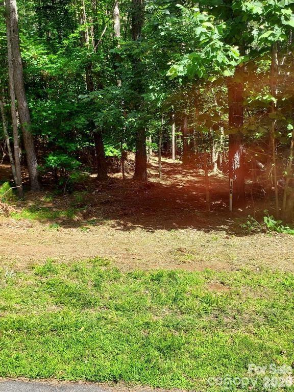 218 Table Rock Trace 166 Property Photo 5