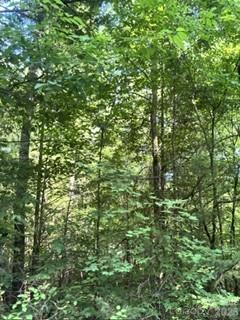 Tba Ricks Road Property Photo 1