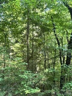 Tba Ricks Road Property Photo 2
