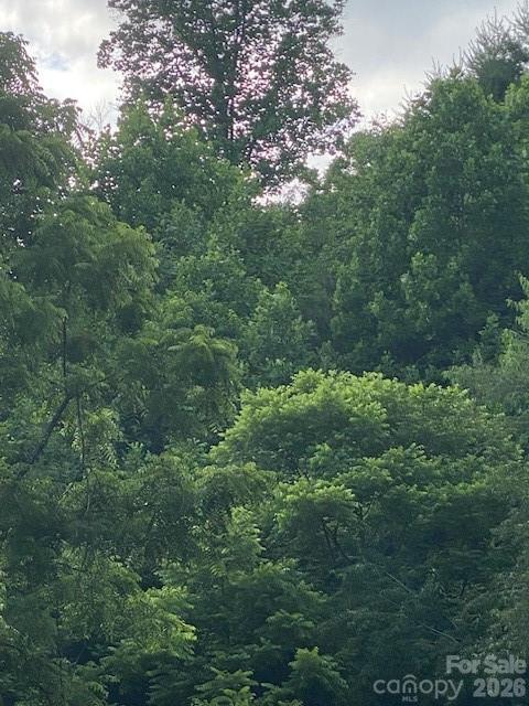000 East Fork Road Property Photo 2