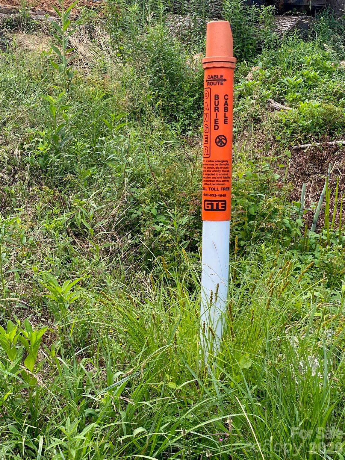 000 East Fork Road Property Photo 5
