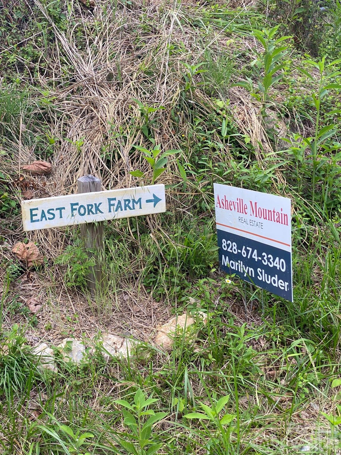 000 East Fork Road Property Photo 6