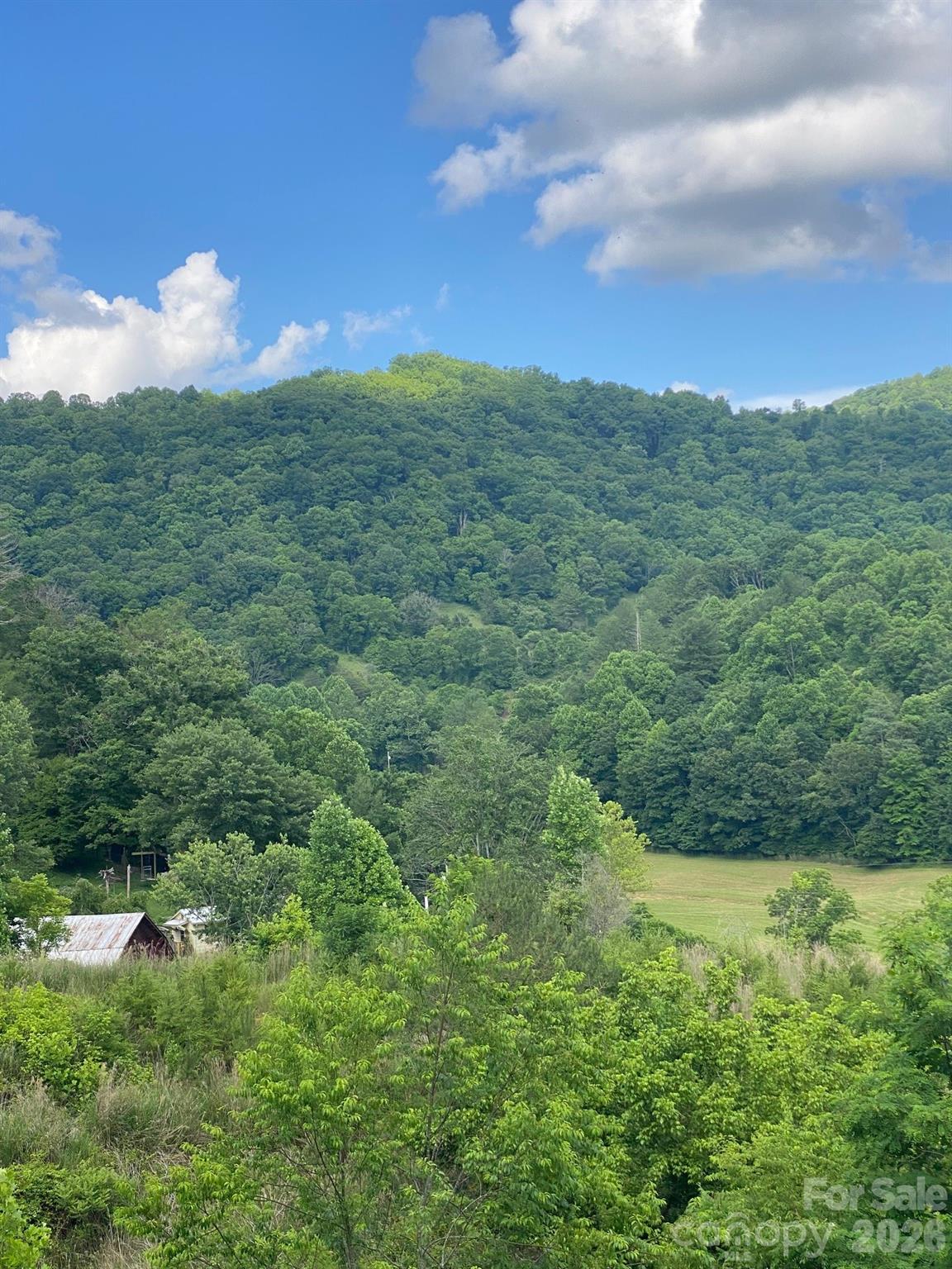 000 East Fork Road Property Photo 8
