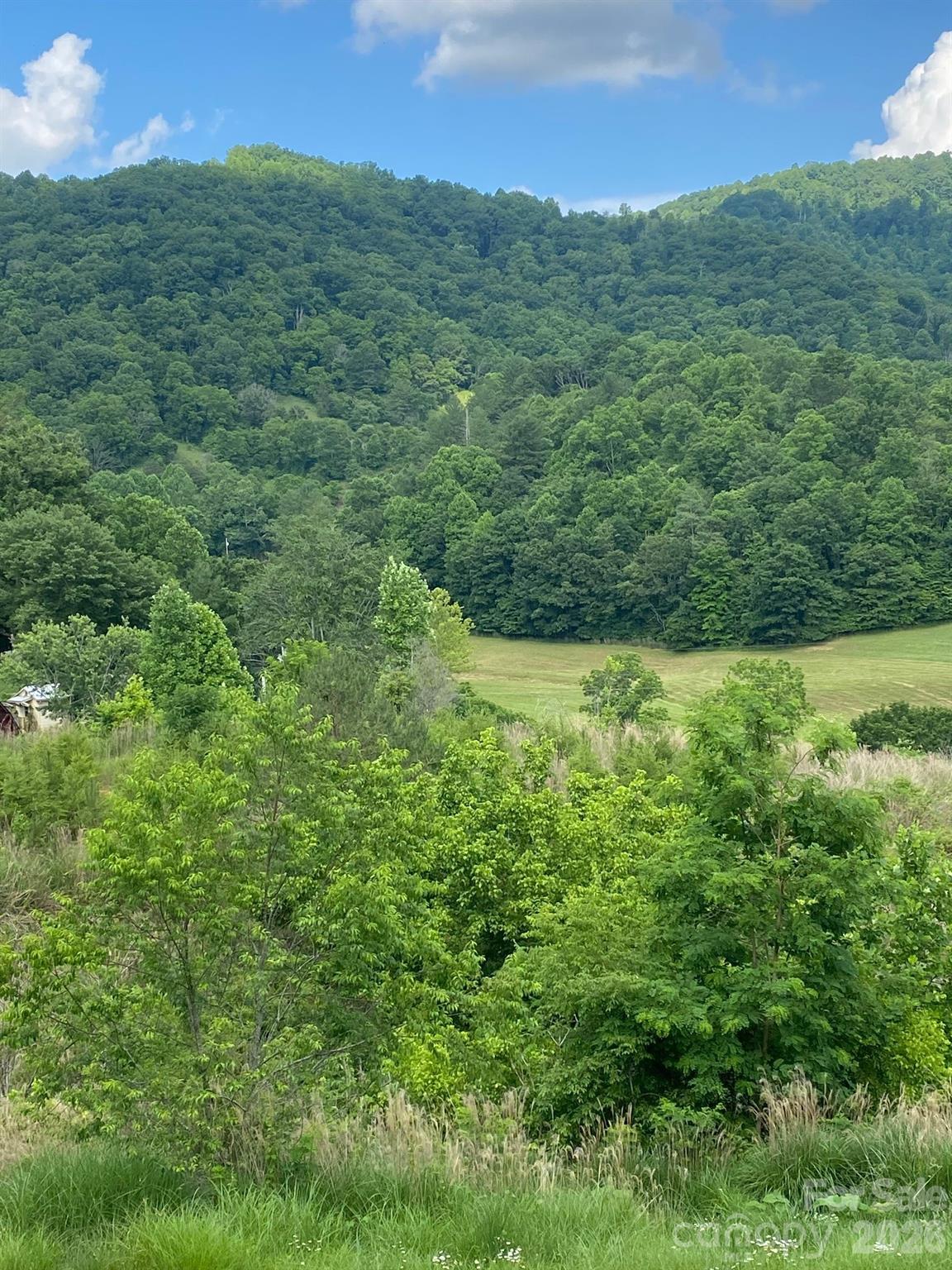 000 East Fork Road Property Photo 12