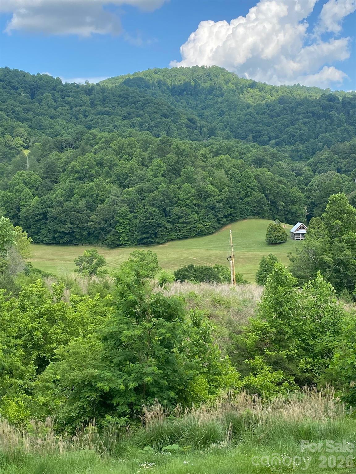 000 East Fork Road Property Photo 13