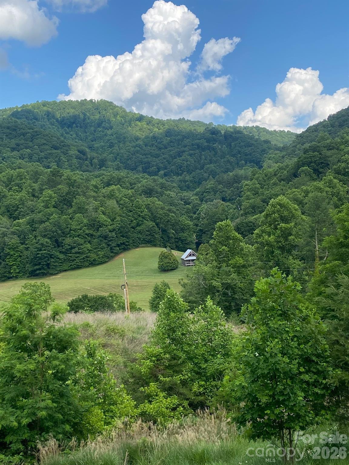 000 East Fork Road Property Photo 14