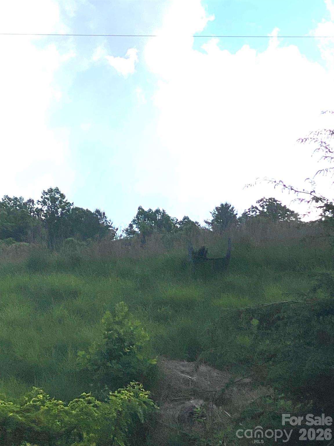 000 East Fork Road Property Photo 17