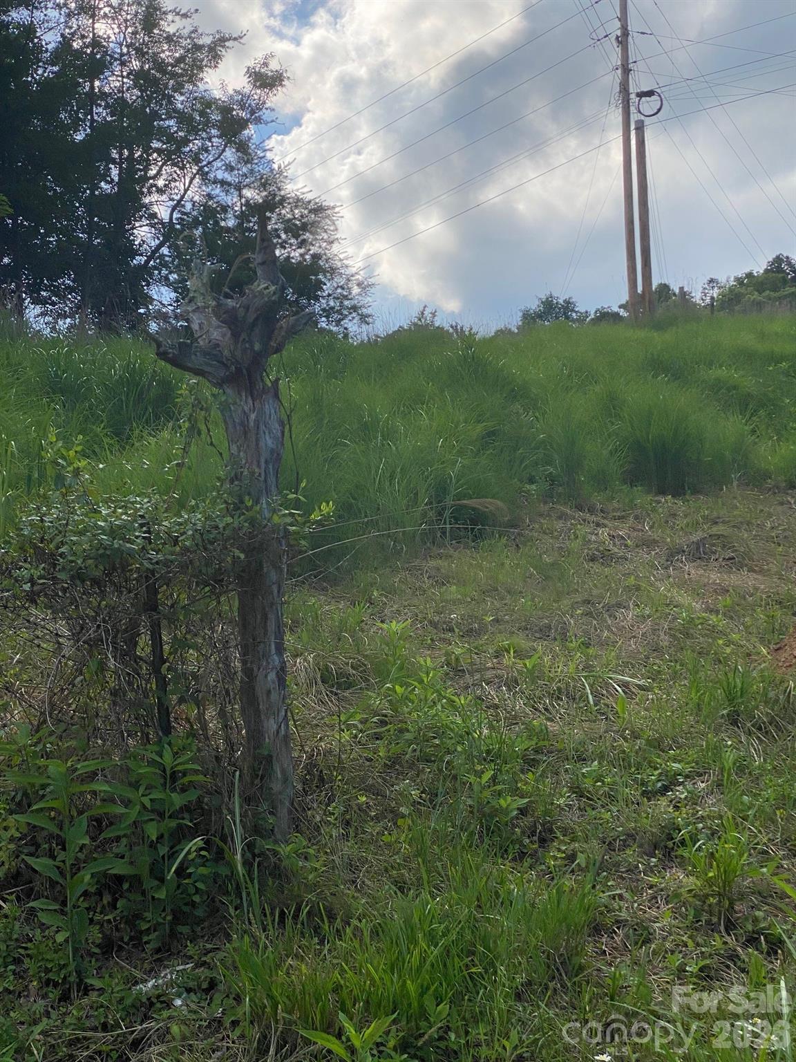 000 East Fork Road Property Photo 19